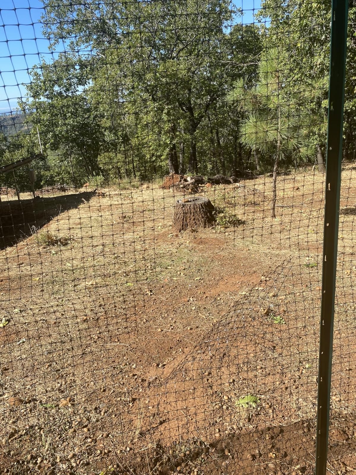 OldMacDonald Deer and Animal Fence Barrier Netting (55gr/sq m.) 7.5' x 330' (2.3m x 100m) (mesh 19x19mm) - Folded for Shipping customer photo 2