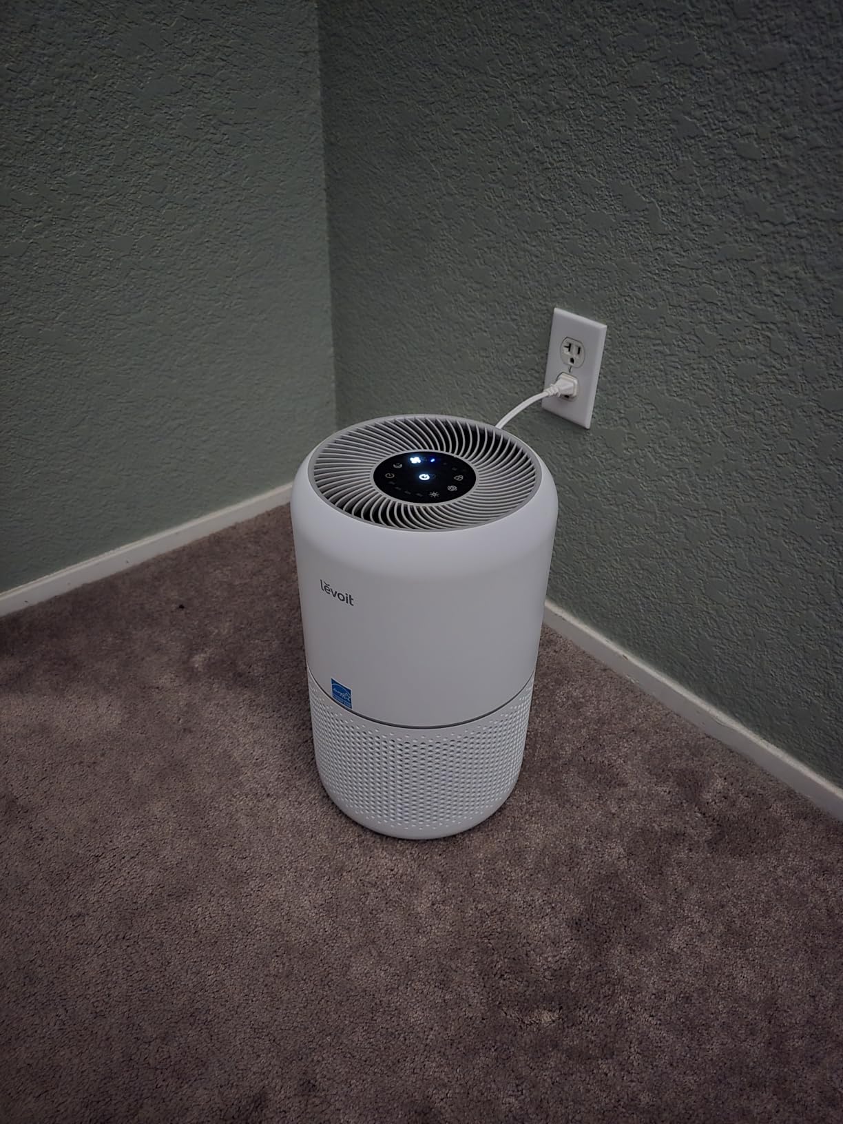 Levoit Air Purifier for Home Pets Hair Allergens in Bedroom Quiet Purifiers | Quiet HEPA Sleep Mode, Remove 99.97% Dust Pollen Smoke Pet Odor, AHAM VERIFIDE, Core300-P, Up to 1073 ft², White customer photo 1