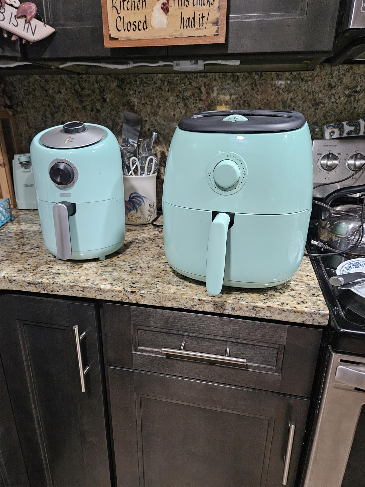 Dash Tasti-Crisp Air Fryer, 2.6 Quart, Aqua | Small Compact Basket Style Air Fryer, One or Two People, Auto Shut Off, Easy Dial Controls, Dishwasher Safe Parts customer photo 2