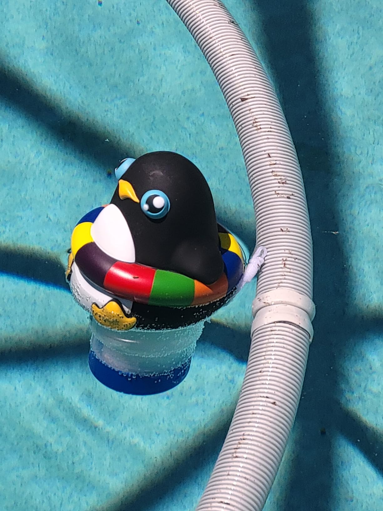 440 Pool Chlorine Floater Dispenser, Fits Up to 5 Pieces of 3-Inch Chlorine Tabs, Adjustable Flow, Control, Heavy-Duty Plastic - Suitable for Small & Large Pools - 9.6 Ounces customer photo 1