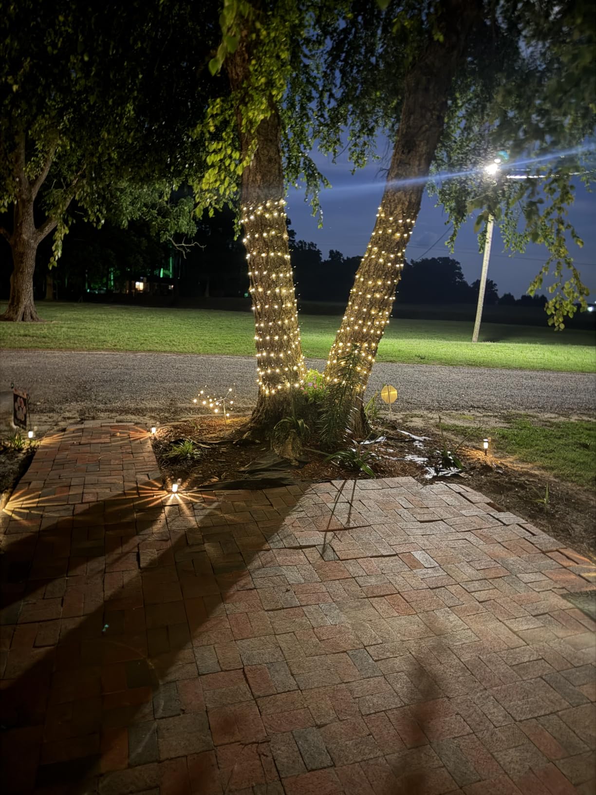 Solar String Lights Outdoor, 2 Pack 400LED 144FT Extra-Long Fairy Lights customer photo 1