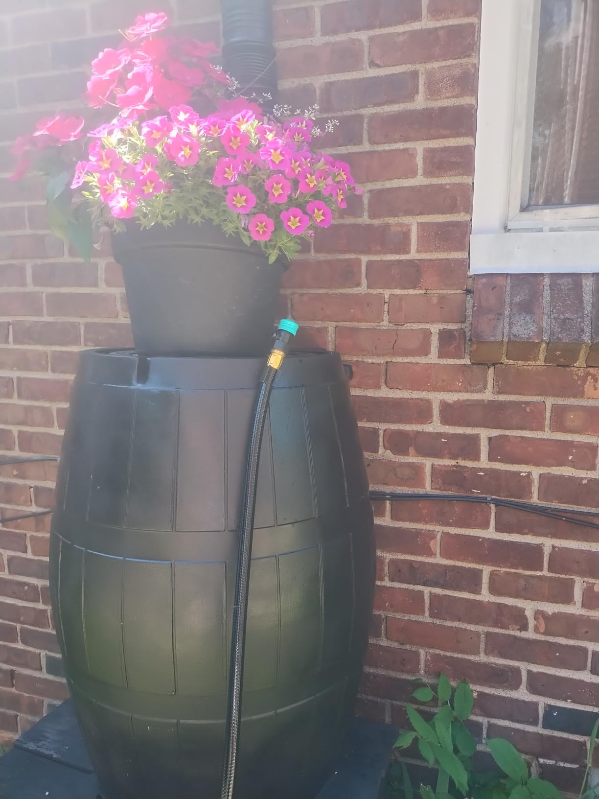 FCMP Outdoor Rain Barrel, Flat-Back Rainwater Catcher with Spigots, 50 Gallon, Black - Portable Water Storage Container Tank for Home, Garden, and Backyard customer photo 2