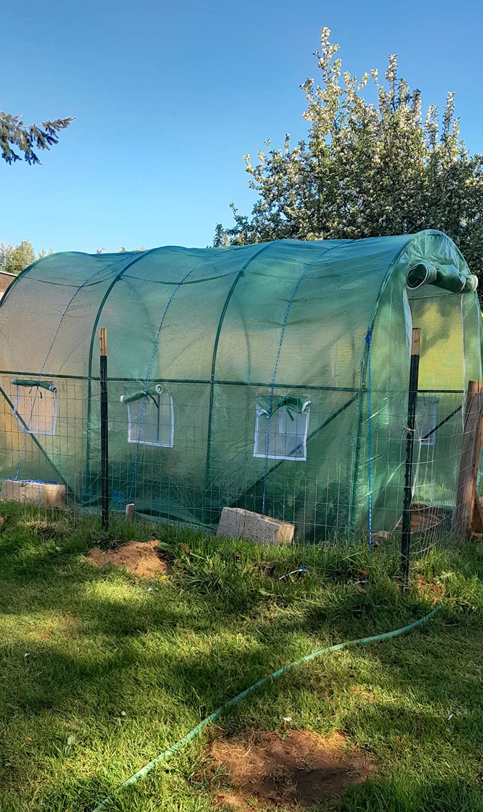 Greenhouse for Outdoors Greenhouse Walk-in Green House L10'xW7'xH7' Plastic Mini Greenhouse Kit Indoor Portable Greenhouse Plant Shelves Tomato Herb Canopy for Patio customer photo 2
