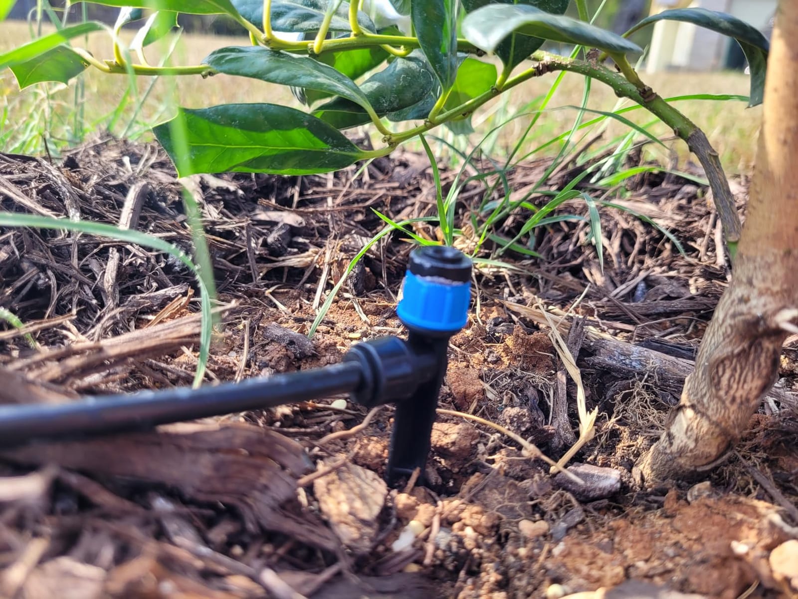 MIXC Greenhouse Micro Drip Irrigation Kit Automatic Irrigation System Patio Misting Plant Watering System with 1/4 inch 1/2 inch Irrigation Tubing Hose Adjustable Nozzle Emitters Barbed Fittings customer photo 1