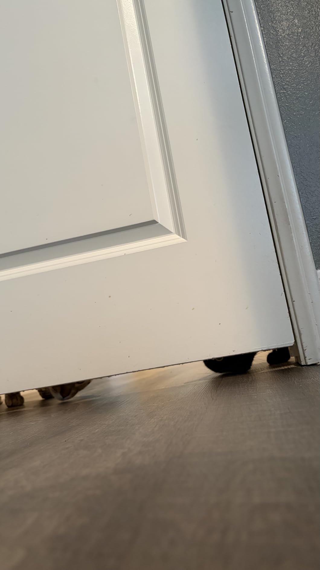 Everlasting Comfort Under Door Draft Stopper for Bottom of Doors, 1 Pack customer photo 1