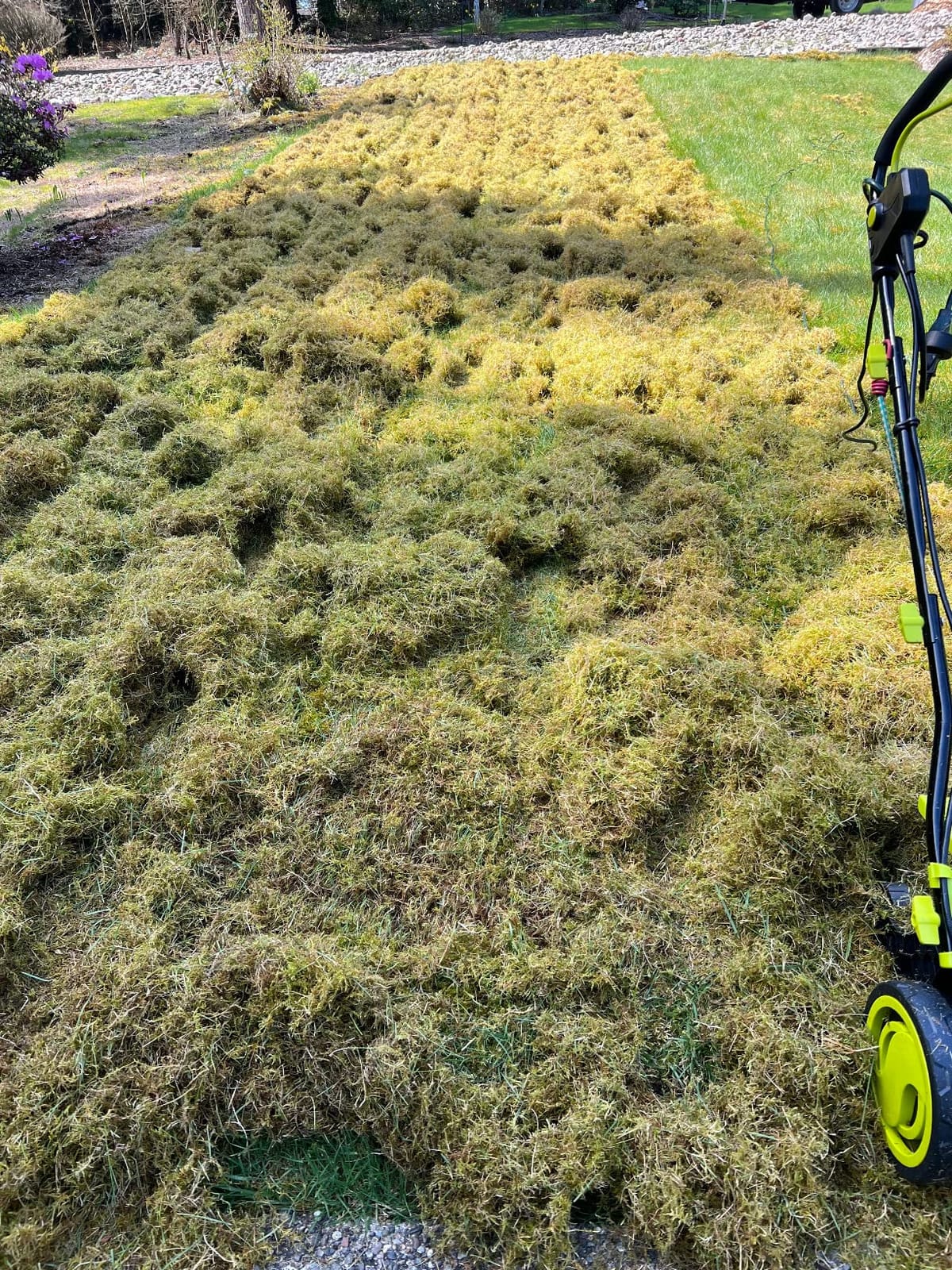 Sun Joe 15-Inch Lawn Dethatcher with Scarifier Blade Reel, AJ805E customer photo 2