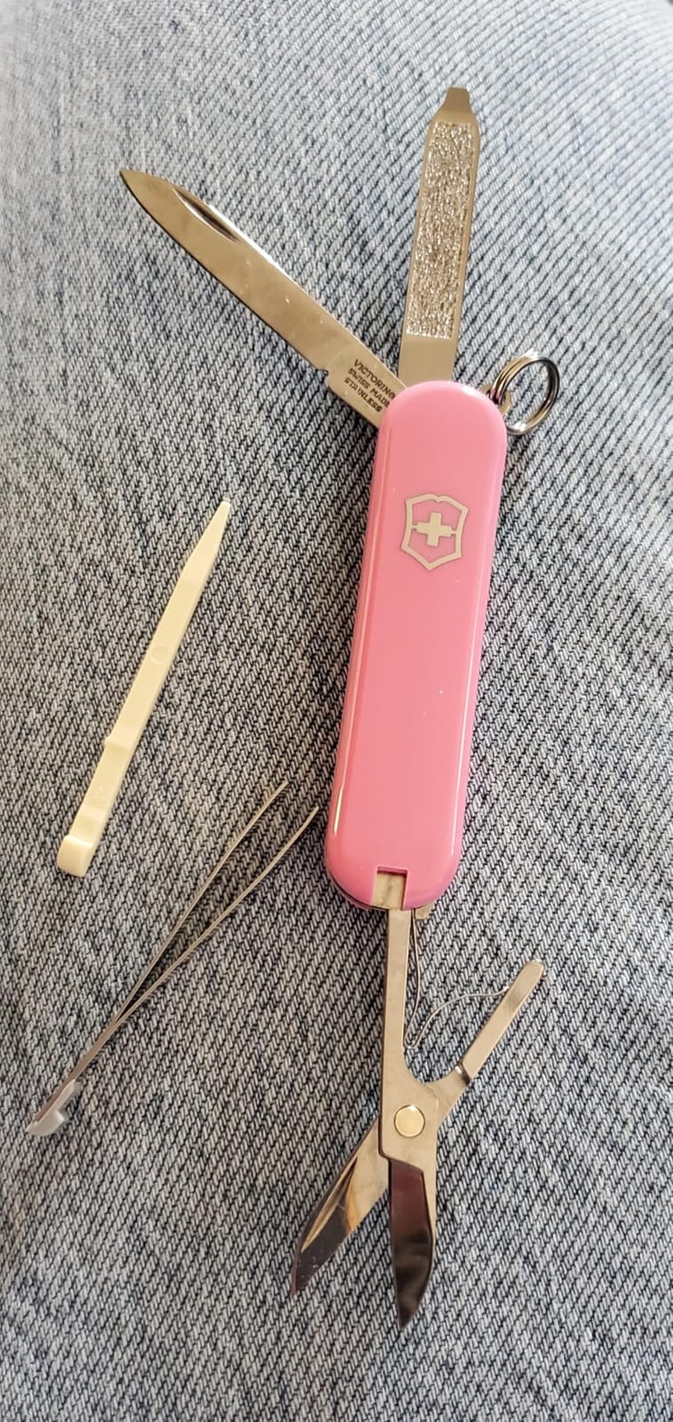 Victorinox Classic SD Swiss Army Knife, Compact, 7 Functions, Swiss Made Pocket Knife with Small Blade, Screwdriver and Key Ring - Style Icon (Red) customer photo 1