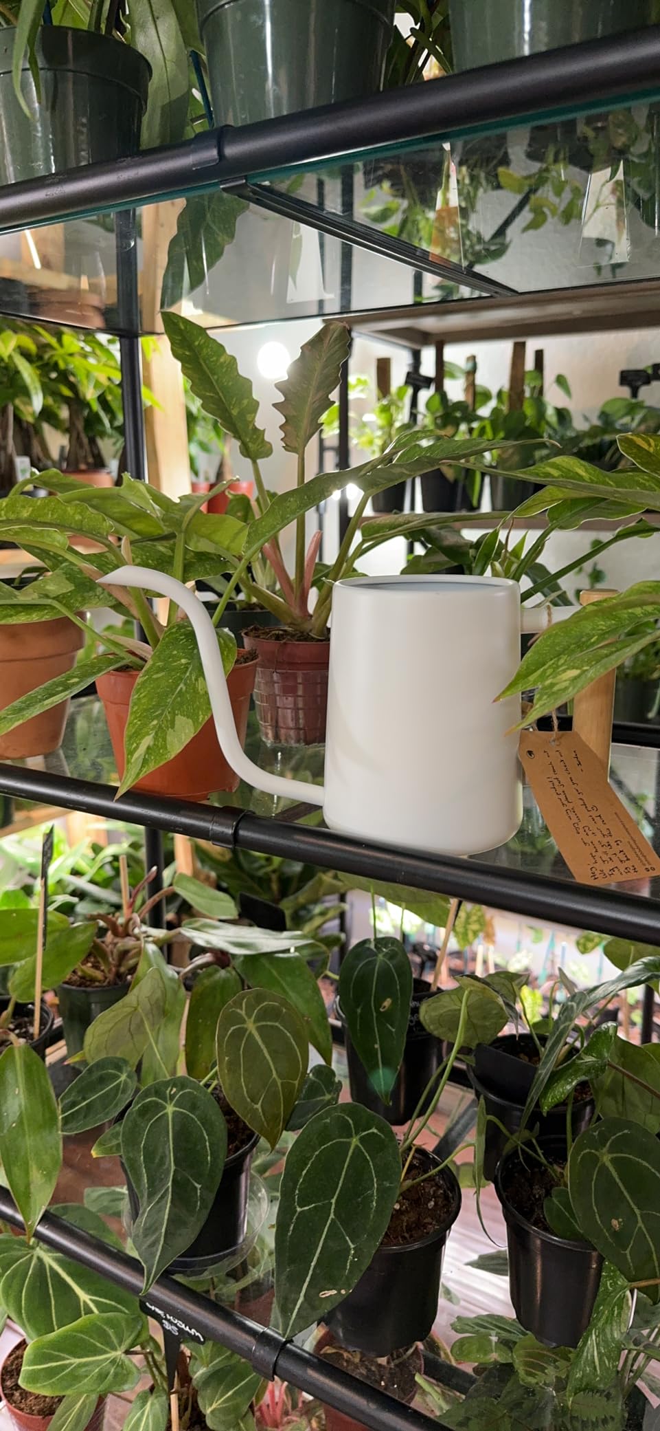 Metal Small Indoor Watering Can with Long Spout & Real Wood Handle, 35oz customer photo 2