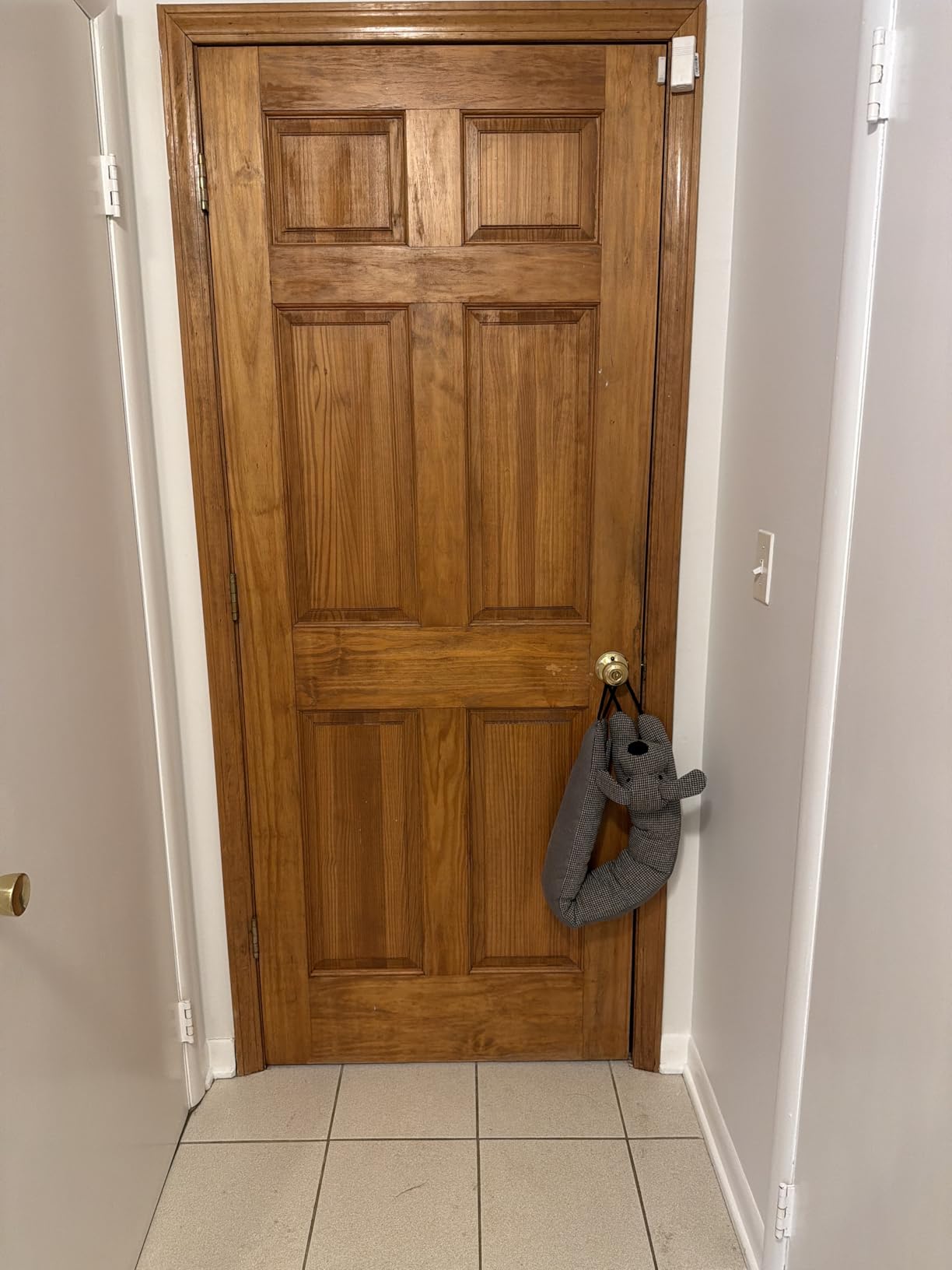 Marwood Under Door Draft Stopper Decorative Wind Stopper 36 inch for Door & Window, Weighted Animal Air Draft Stopper for Bottom of Door with Hanging Loops - Brown Dog customer photo 1