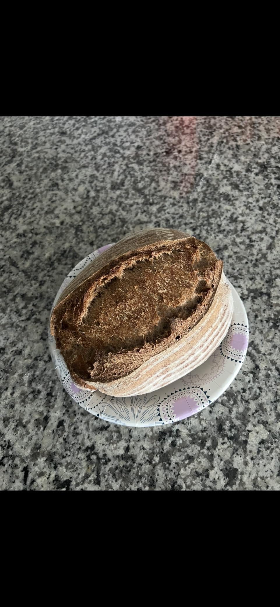 Challenger Bread Pan Cast Iron Loaf Pan with Lid for Artisan Sourdough and Homemade Bread Baking, Pre-Seasoned, Heavy Duty, Oven Safe, Made in USA customer photo 1