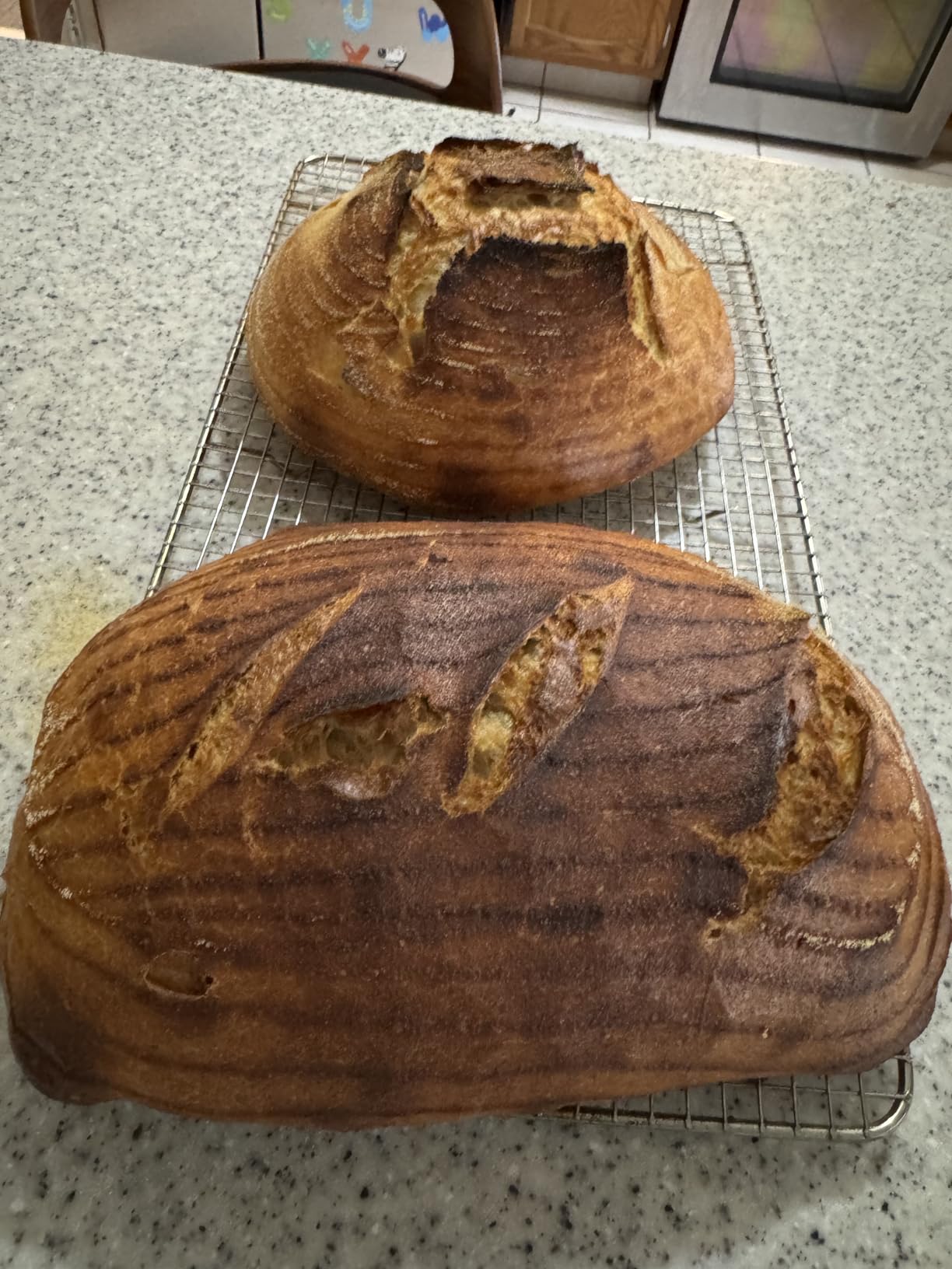 Challenger Bread Pan Cast Iron Loaf Pan with Lid for Artisan Sourdough and Homemade Bread Baking, Pre-Seasoned, Heavy Duty, Oven Safe, Made in USA customer photo 2