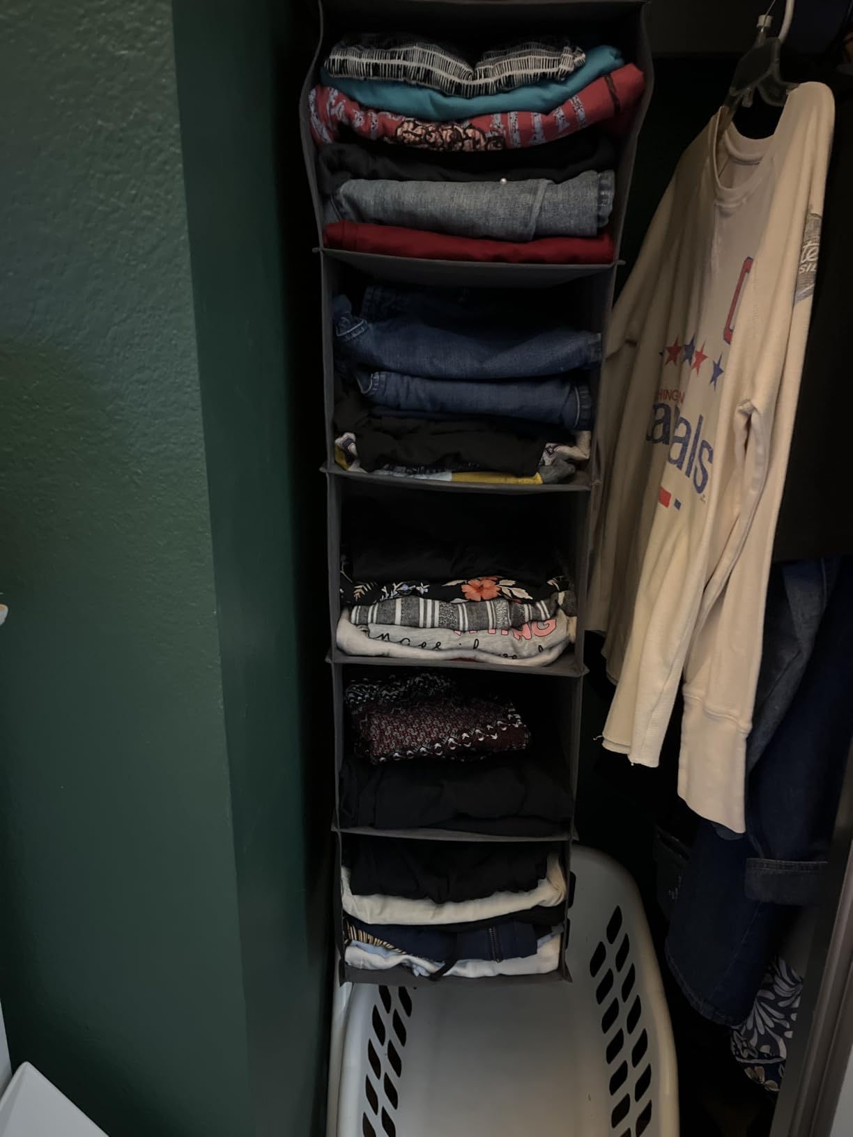 Lifewit Hanging Closet Organizer and Storage for Clothes 5 Tier customer photo 1