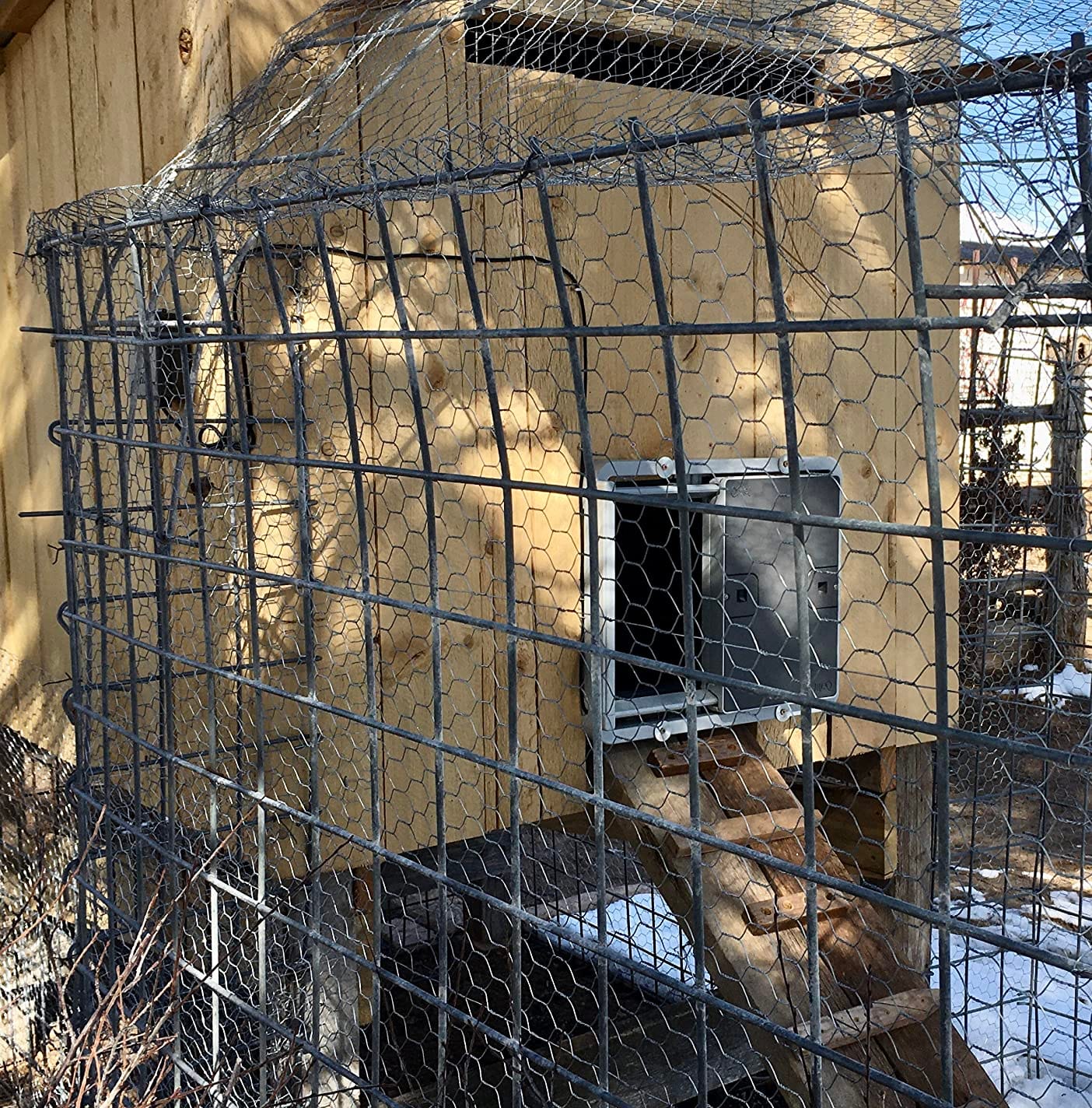 Omlet Automatic Chicken Coop Door Opener | Operated by Light Sensor or Timer | Easy to Install, No Maintenance Required | Improves Coop Security and Insulation | Built-in Safety Sensors | Grey customer photo 1
