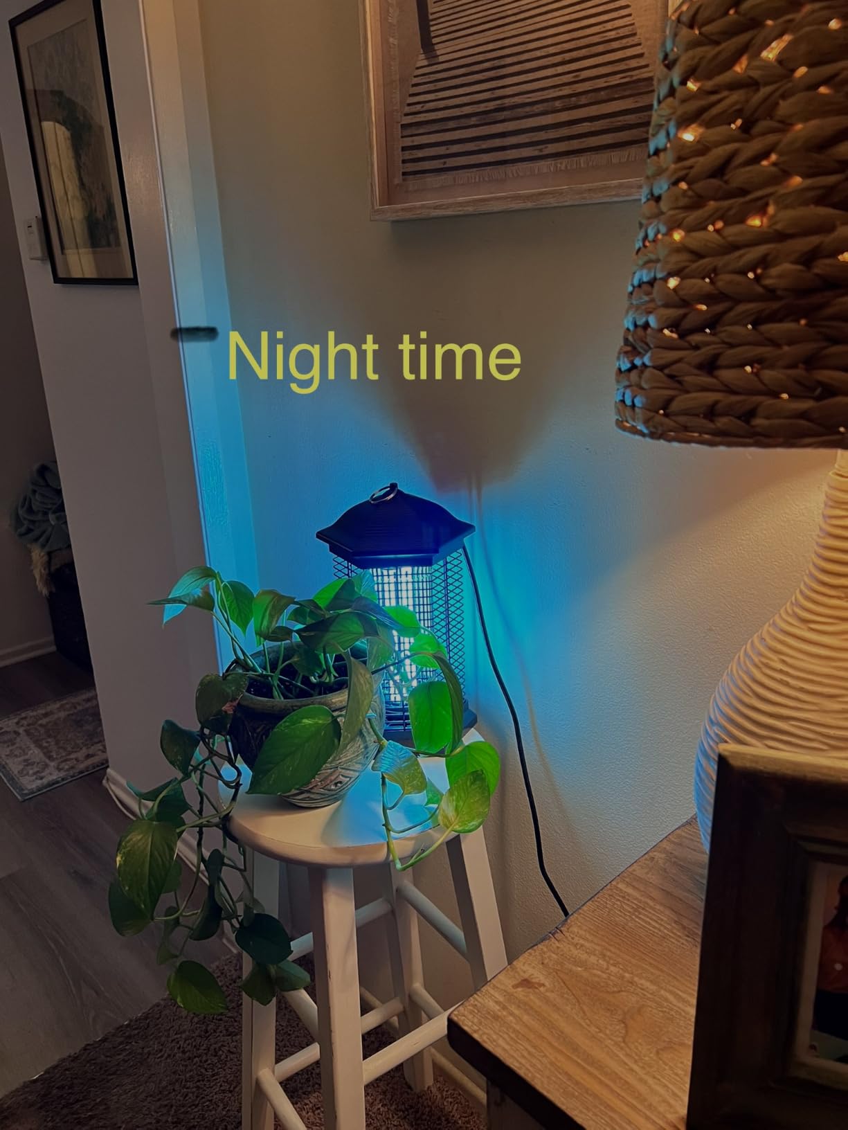 AMUFER Bug Zapper Outdoor Indoor with18W Power & 4400V Instant Grid customer photo 1
