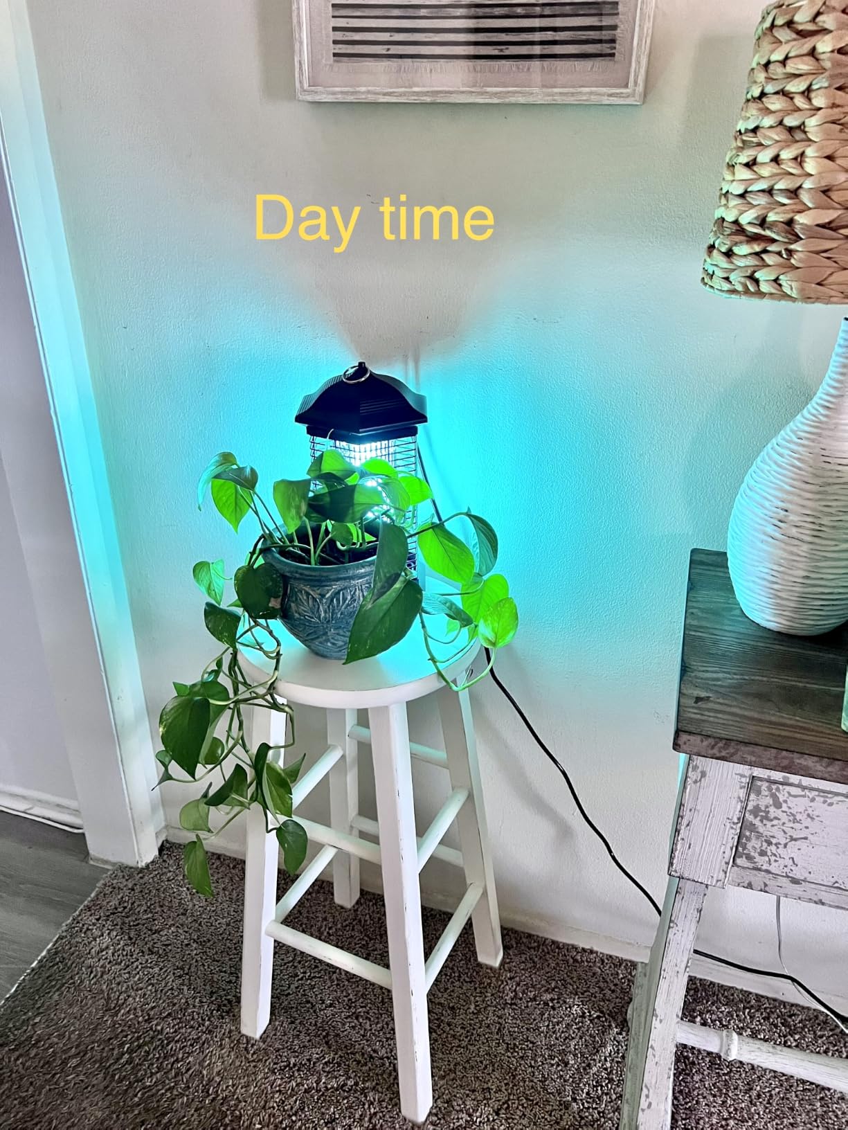 AMUFER Bug Zapper Outdoor Indoor with18W Power & 4400V Instant Grid customer photo 2