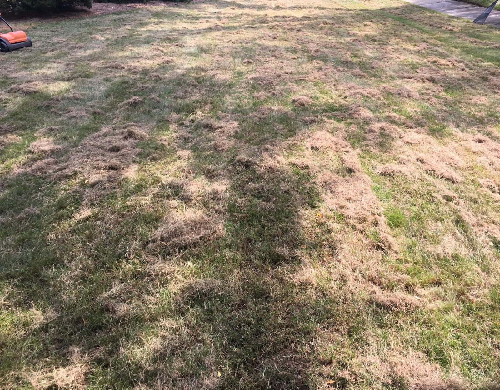 LawnMaster GV1212B Scarifier and Dethatcher 13-Inch 12AMP customer photo 1