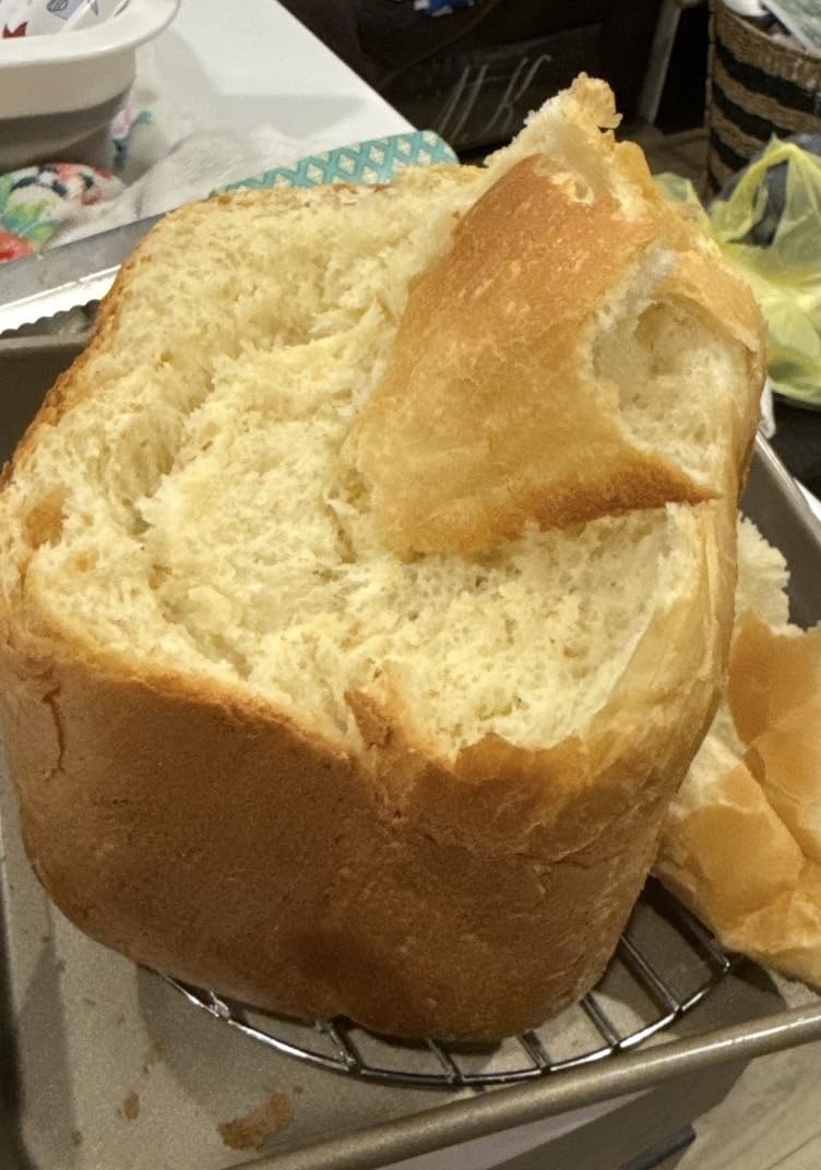 Elite Gourmet 2 Lb Programmable Bread Maker, 3 Sizes, 19 Presets, Mint | Gluten-Free, Dough & Jam, Delay Timer, EBM8103M customer photo 1