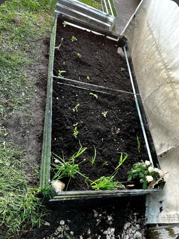 2-Pack Galvanized Raised Garden Bed 8x4x1ft customer photo 1