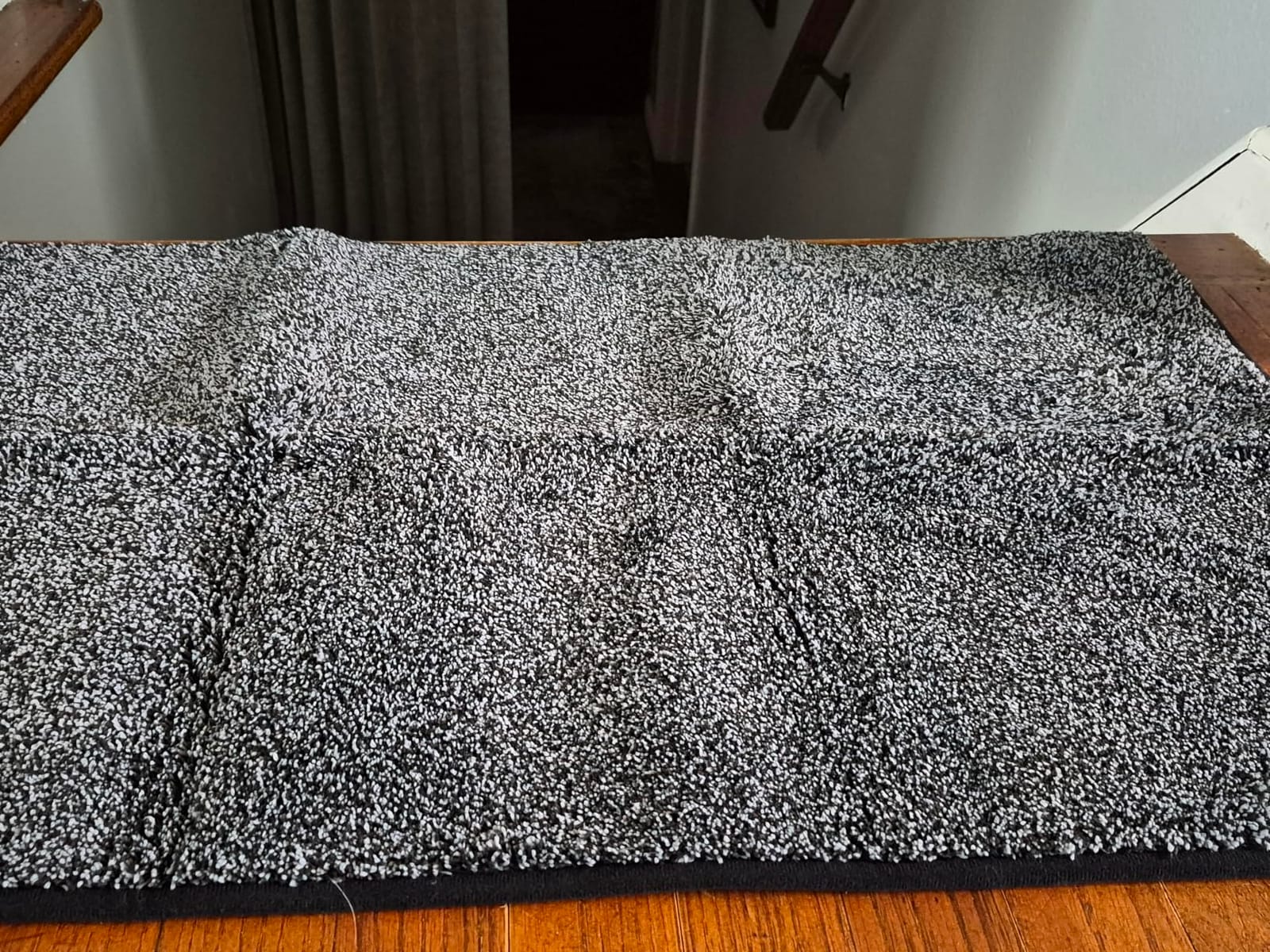 PURRUGS Dirt Trapping Indoor Door Mat, 20