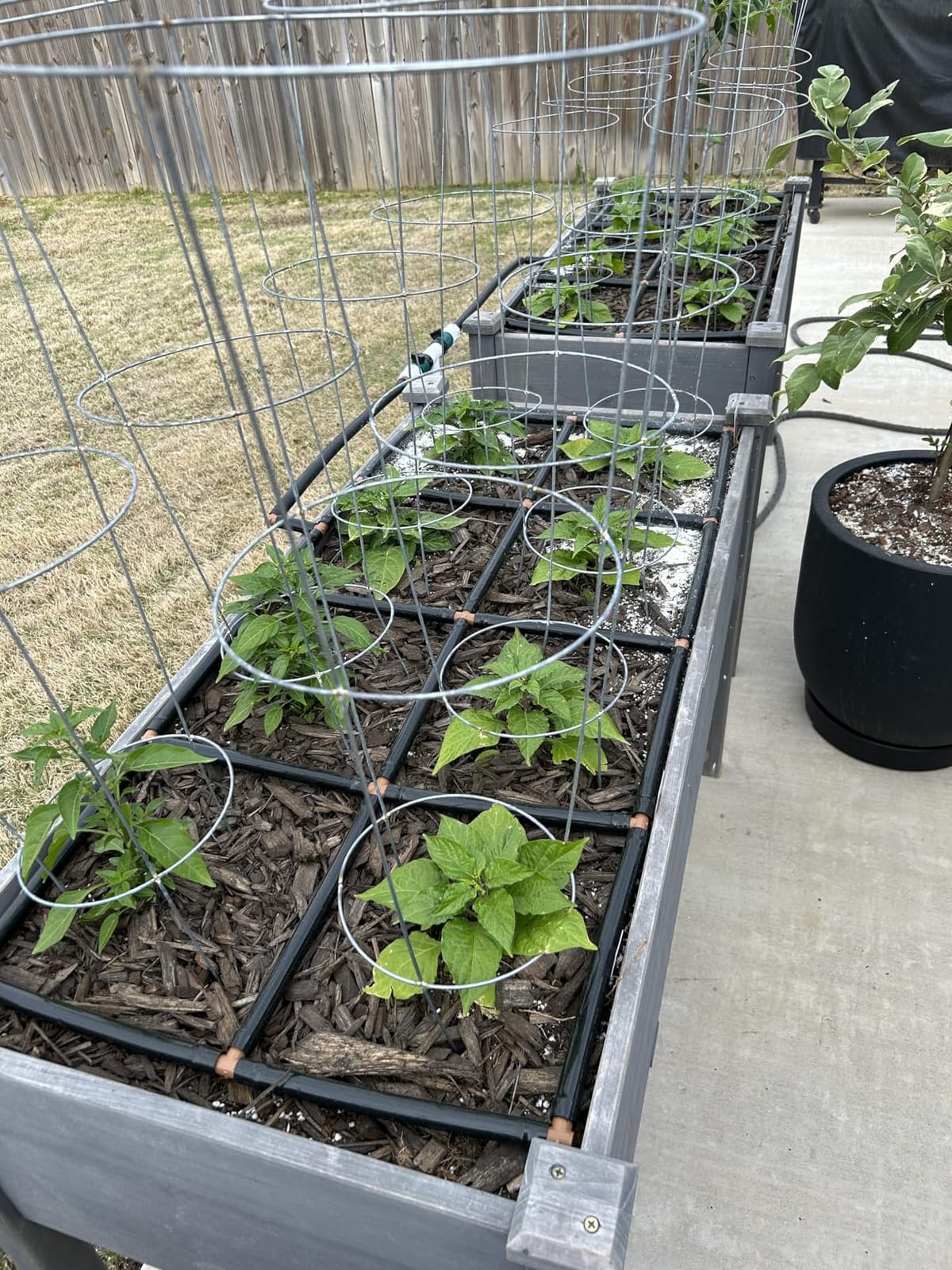 Garden Grid 3x6 | Raised Bed Watering System | Prebuilt Irrigation customer photo 1