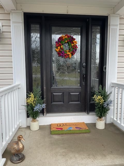 Coir Welcome Mat, Non-Slip, Colorful Birds, 17 x 29 in customer photo 2
