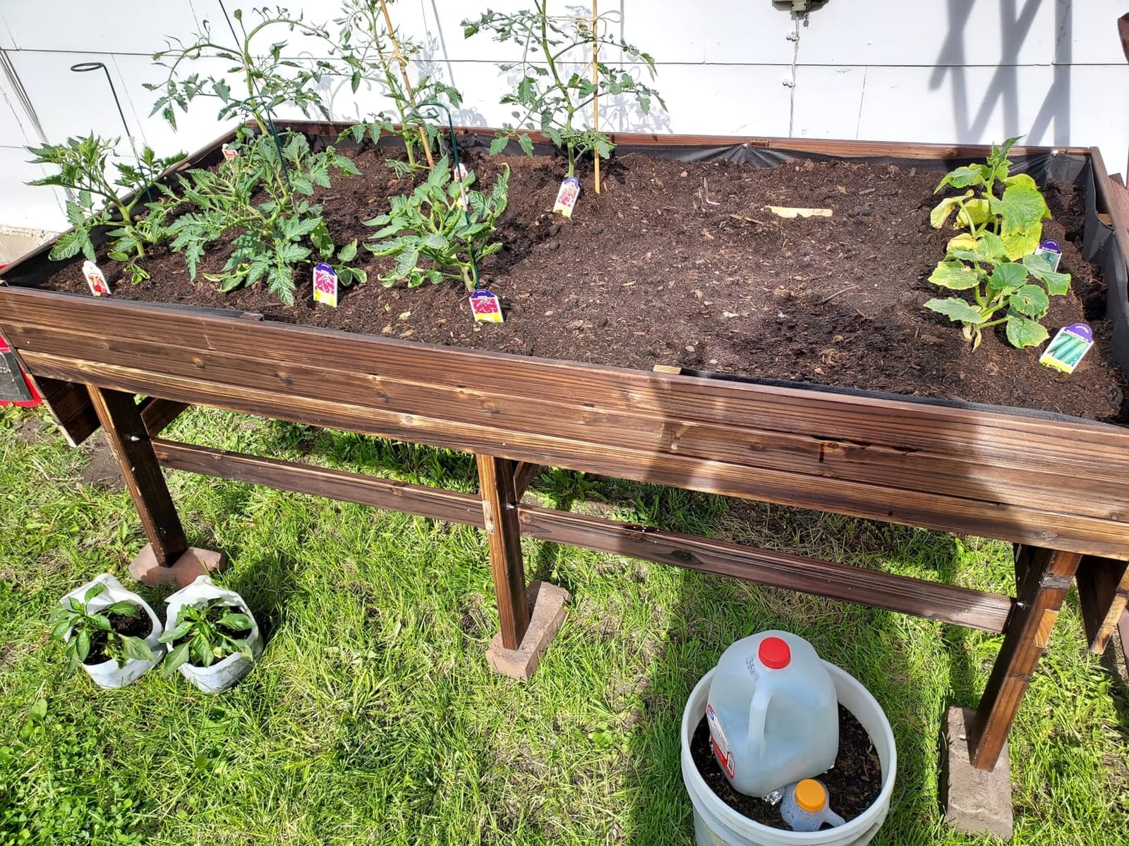 MUPATER 6x3x2FT Cedar Raised Garden Bed for Outdoor, Raised Garden Bed wit 6 Legs, 837lbs Large Elevated Garden Planter Box with Liner for Herbs,Vegetables, Rustic customer photo 1