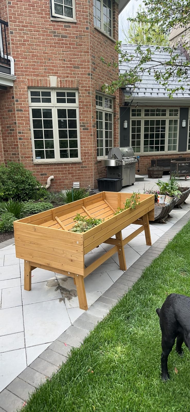 MUPATER 6x3x2FT Cedar Raised Garden Bed for Outdoor, Raised Garden Bed wit 6 Legs, 837lbs Large Elevated Garden Planter Box with Liner for Herbs,Vegetables, Rustic customer photo 2
