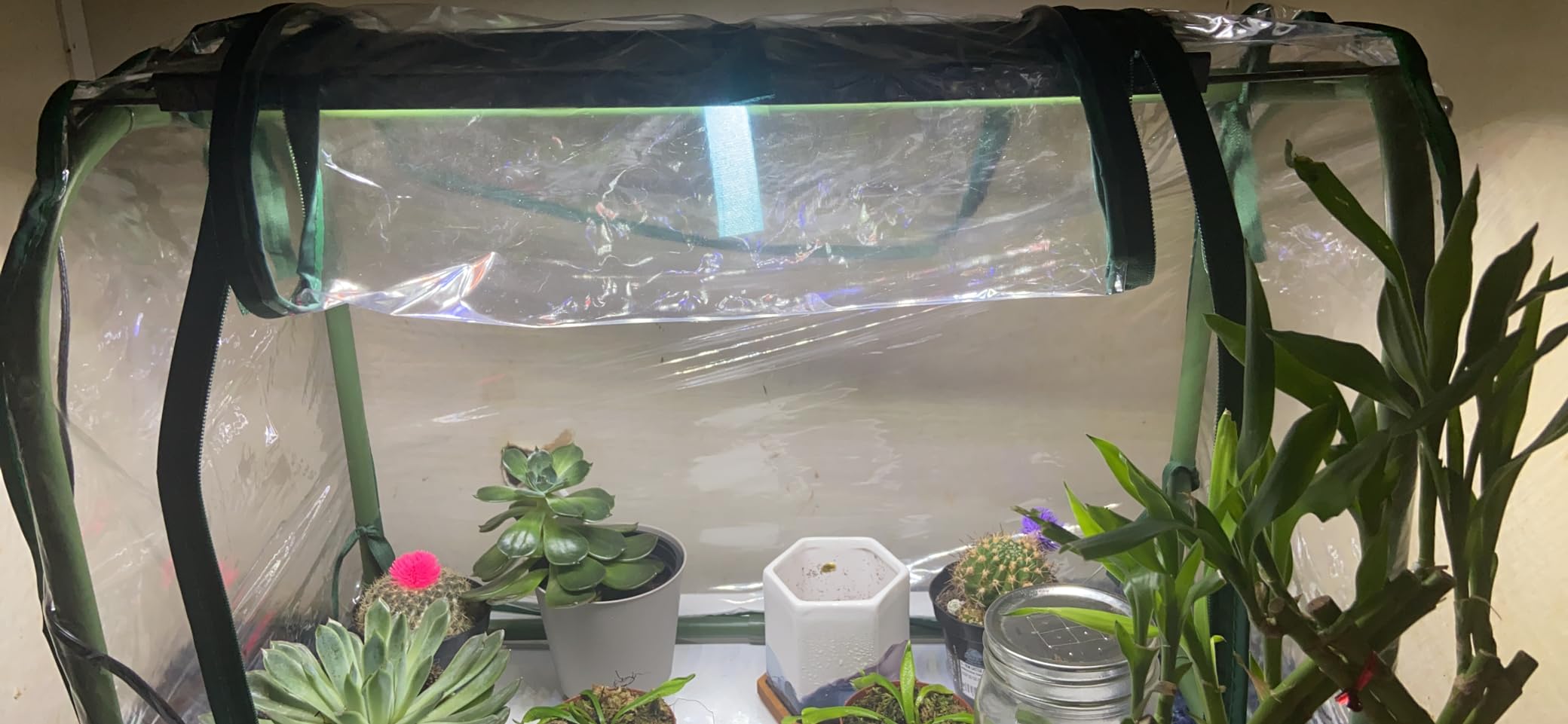 Mini Indoor Greenhouse Tabletop Garden Humidity Domes for Seedling customer photo 2