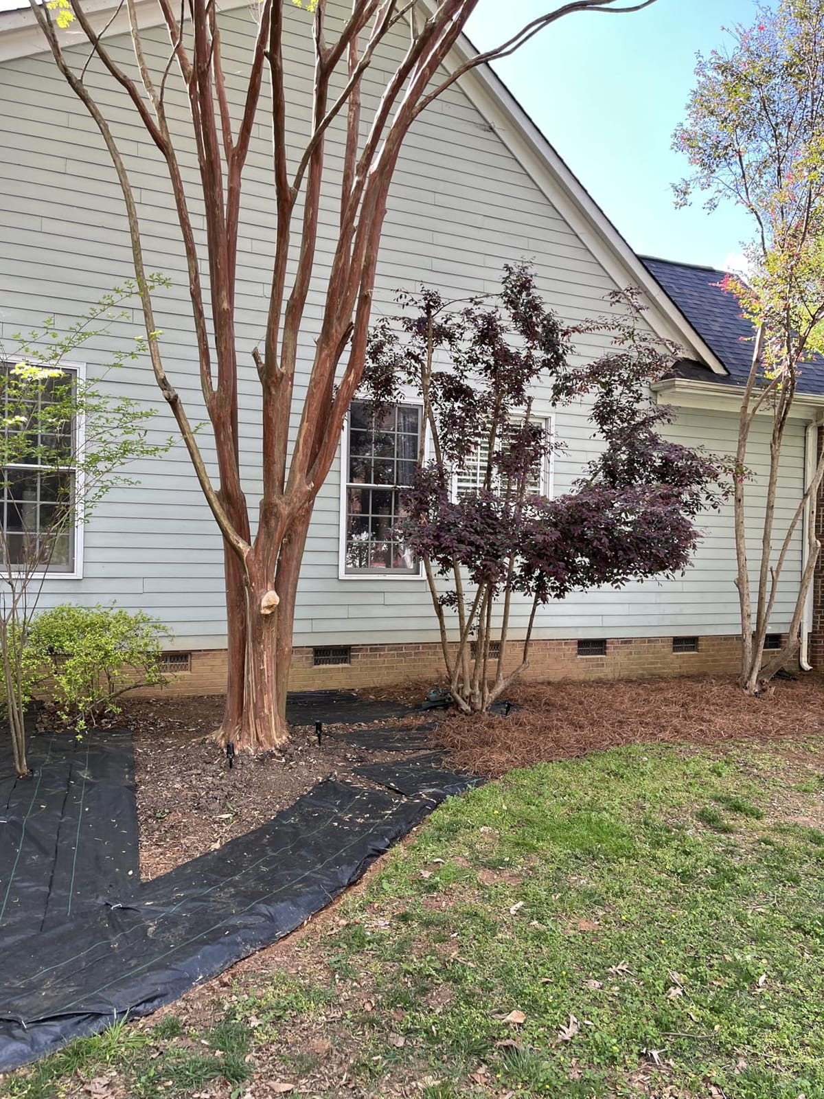 3ftx50ft Weed Barrier Landscape Fabric Heavy Duty,Weed Block Gardening Ground Cover Mat, Weed Control Garden Cloth ,Woven Geotextile Fabric for Underlayment,Commercial Driveway Fabric customer photo 1