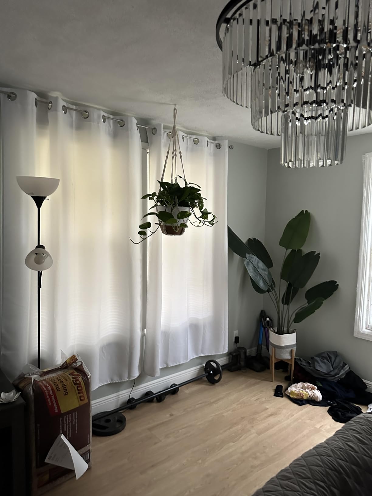 Bouqlife 3 Set Self Watering Hanging Planters for Indoor Plants customer photo 1