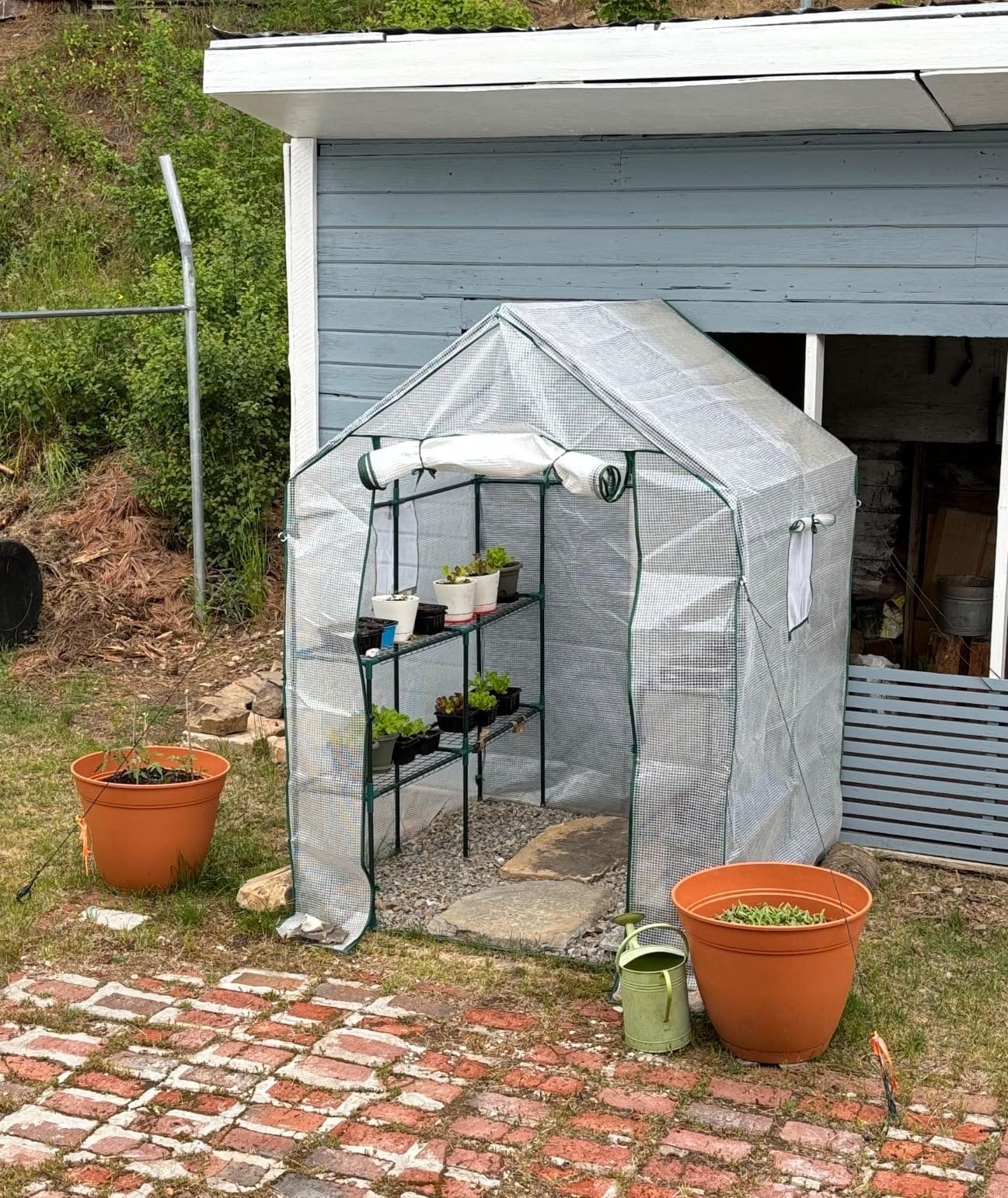 56x55x78 Walk-in Greenhouse for Outdoors, 3-Tier Plant House with 8 Shelves customer photo 1