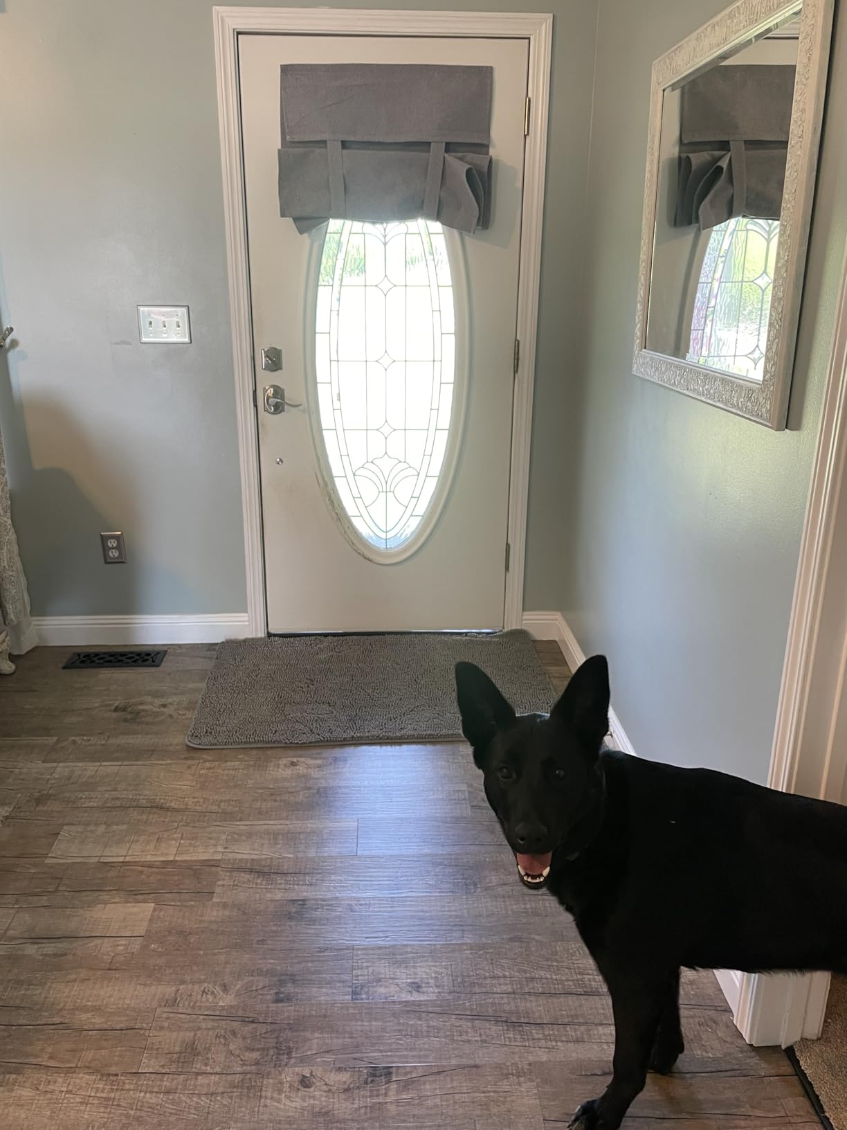 OLANLY Dog Door Mat for Muddy Paws 30x20, Super Absorbent Chenille Mud Mat customer photo 2