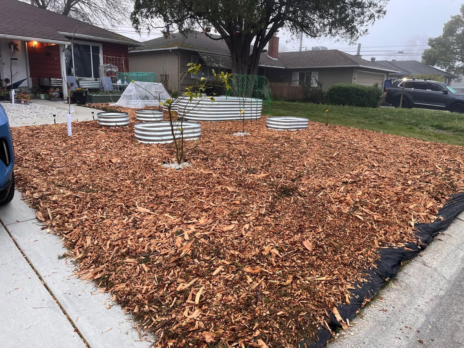 EXTRAEASY 6ft x 100ft Garden Weed Barrier Landscape Fabric,Weed Block Fabric Heavy Duty 3.2OZ,Woven Mulch for Landscaping Ground Cover Weed Control Fabric, Black Garden Bed Liner customer photo 1