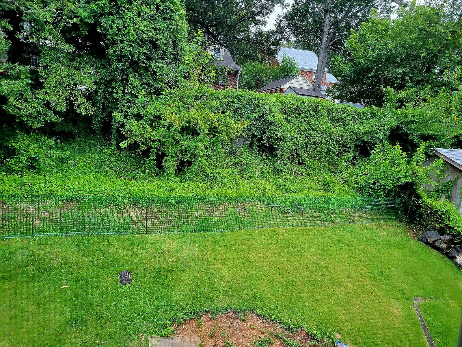 PotatoLife 4'x100' Plastic Mesh Fence for Garden with 100 Zip Ties, Green customer photo 1