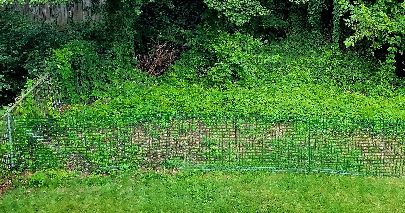 PotatoLife 4'x100' Plastic Mesh Fence for Garden with 100 Zip Ties, Green customer photo 2