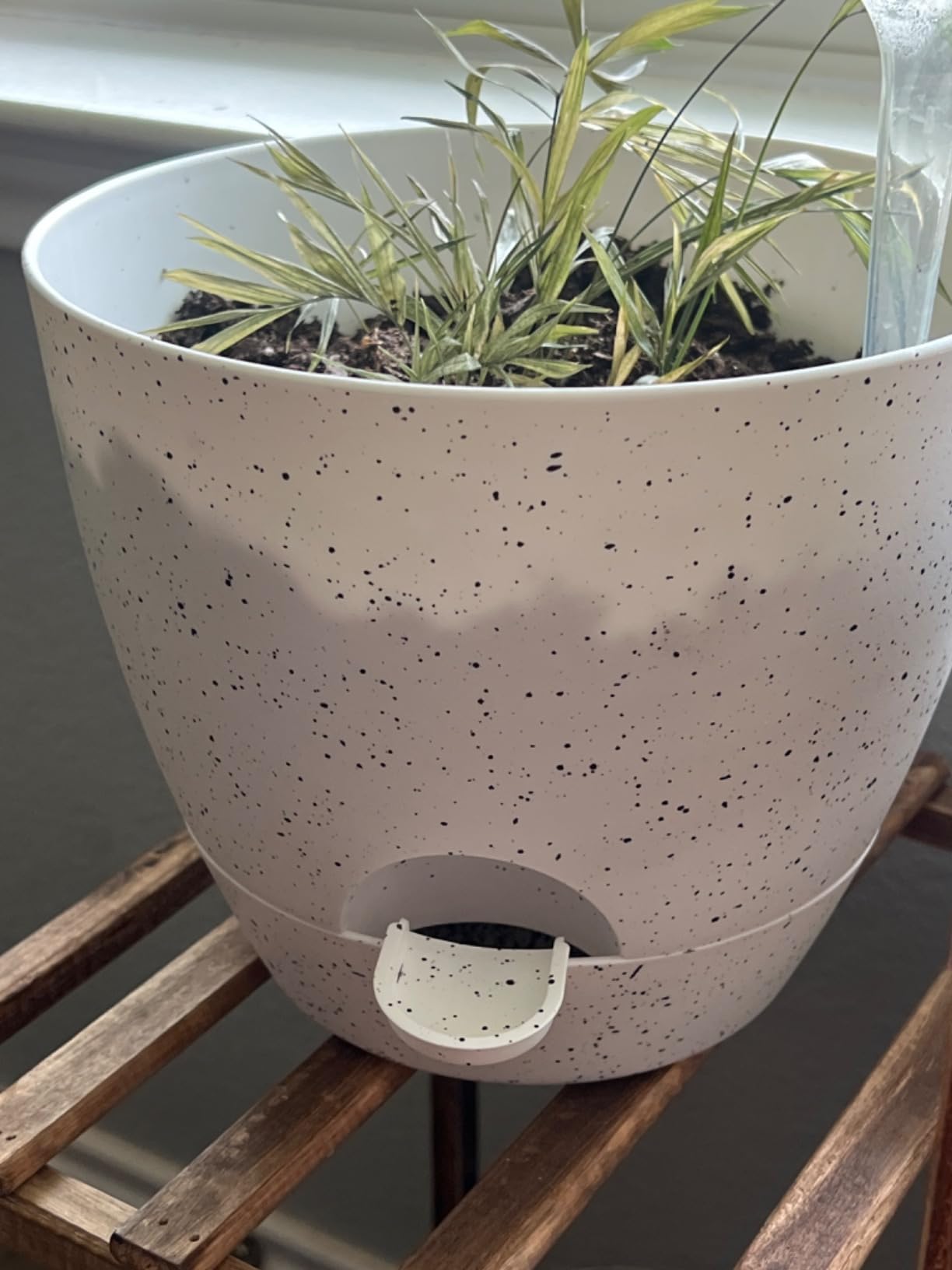 UOUZ Large Self Watering Pots, 12/10/9 Plastic Planters with High Drainage Holes and Deep Reservoir for Indoor Outdoor Garden Plants and Flowers, Black with Brown customer photo 1
