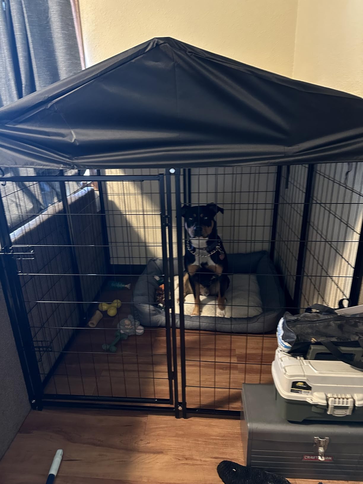 PawGiant Welded Wire Dog Kennel Outdoor with Roof, 4'x4.2'x4.5' customer photo 2