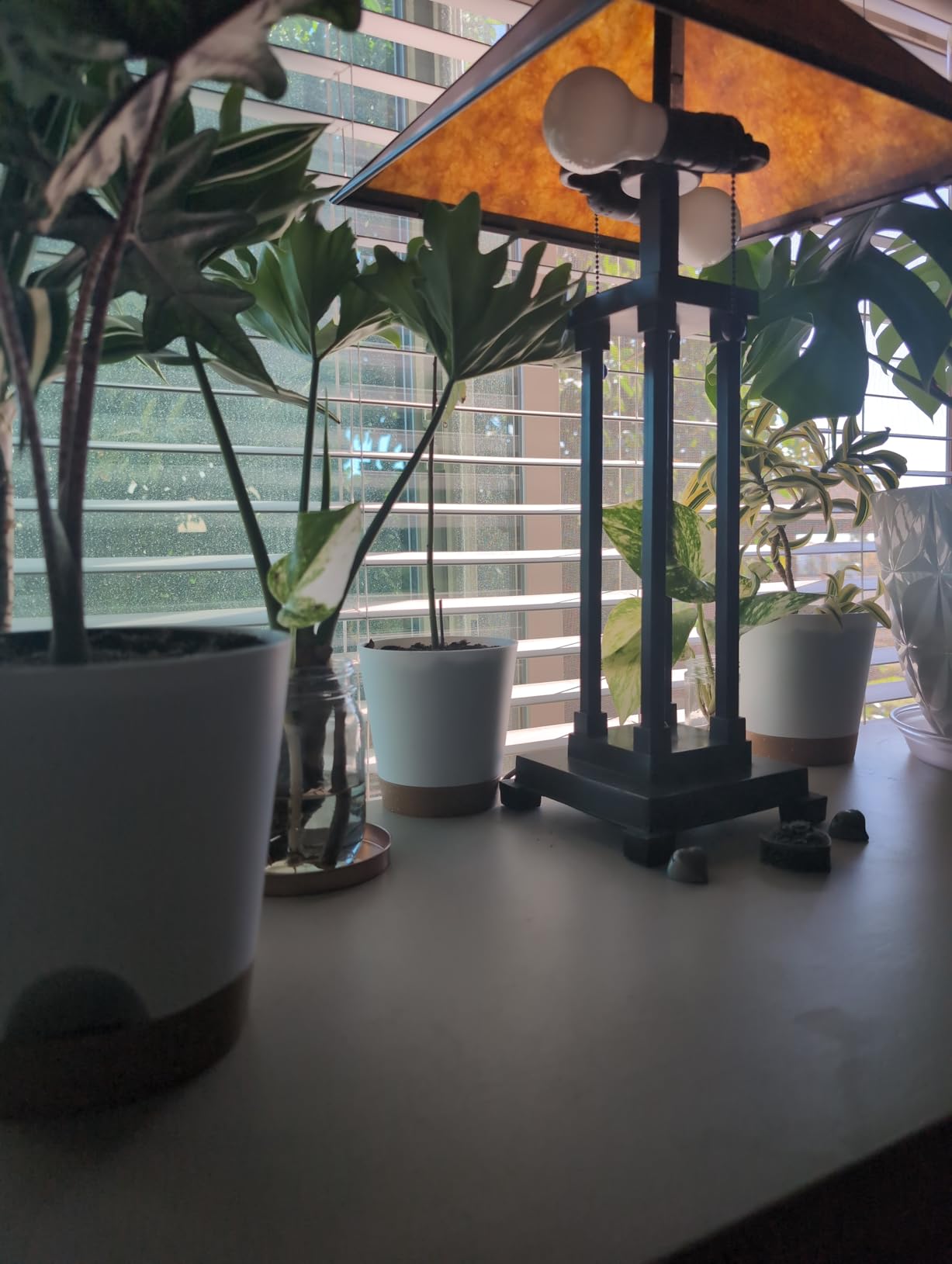 YNNICO Indoor Self Watering Planters with Drainage Holes and Saucers, 8, 7, 6.5, 6, 5.5, 5 Inches, Black, 6 Pots customer photo 1