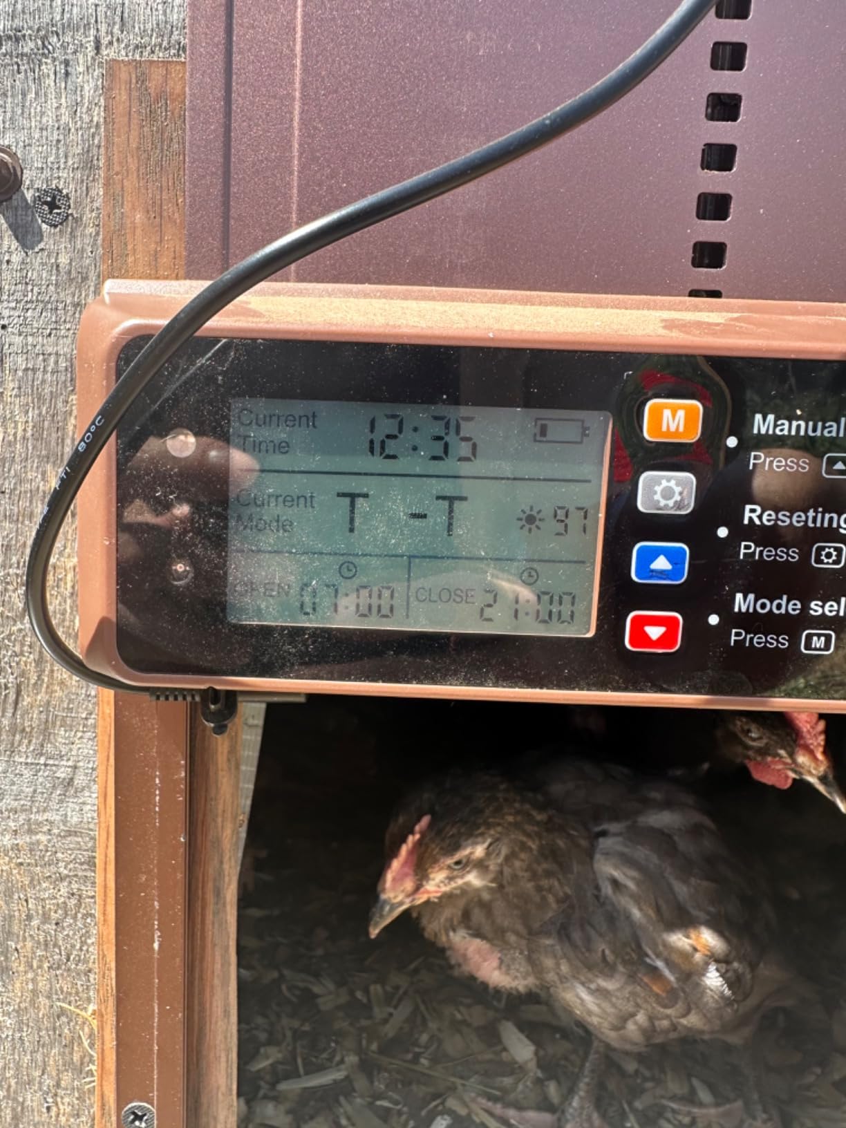 Automatic Chicken Coop Door Solar Powered with Timer & Light Sensor customer photo 1