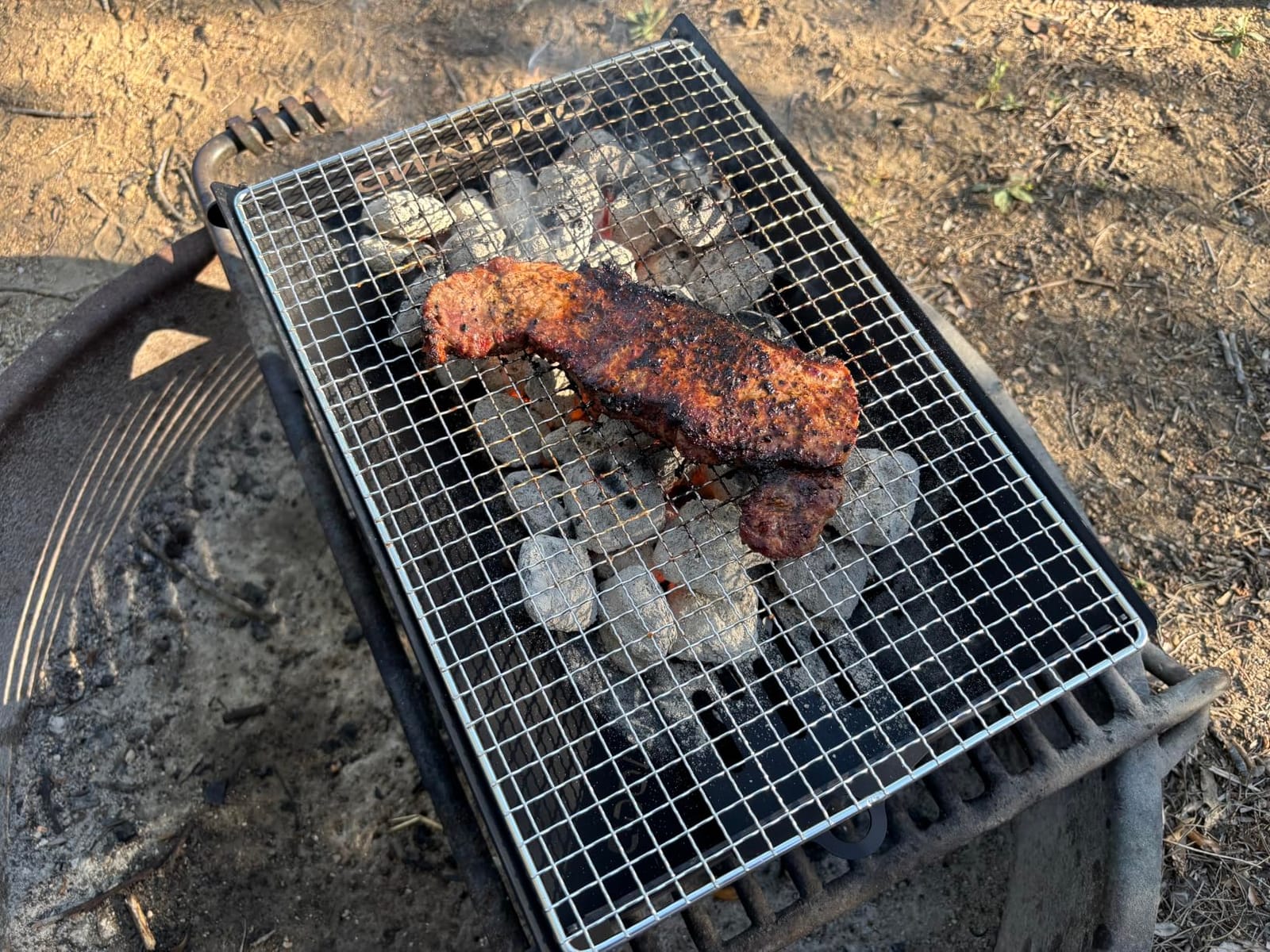 Odoland Portable Folding Charcoal Grills for Outdoor Cooking Bonfire BBQ customer photo 1