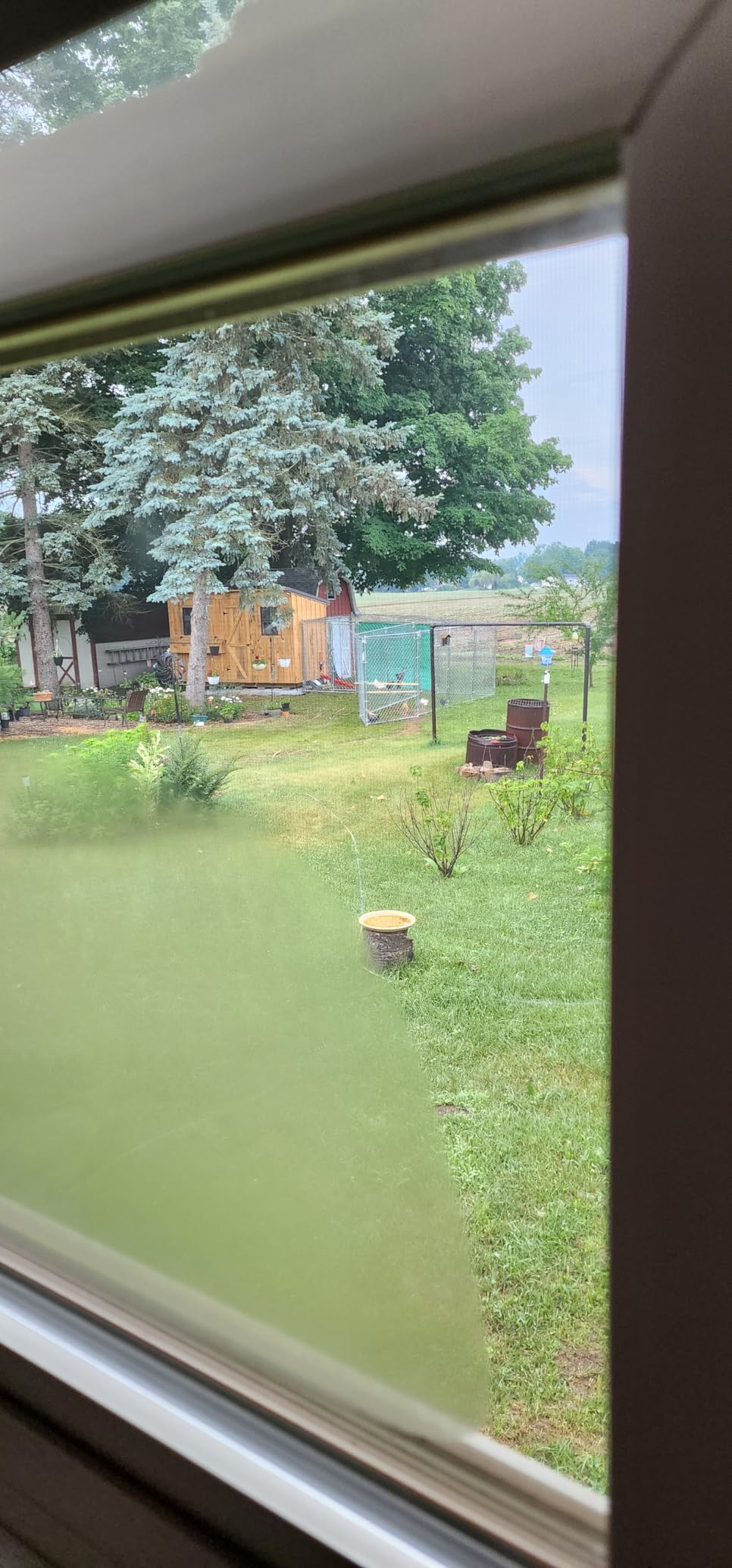 Asfrost Automatic Chicken Coop Door Solar Powered Automatic Chicken Door with Timer & Light Sensor, Anti-Pinch, Durable Aluminum Auto Chicken Door, Charge with 7W Solar Panel & USB - Orange customer photo 2