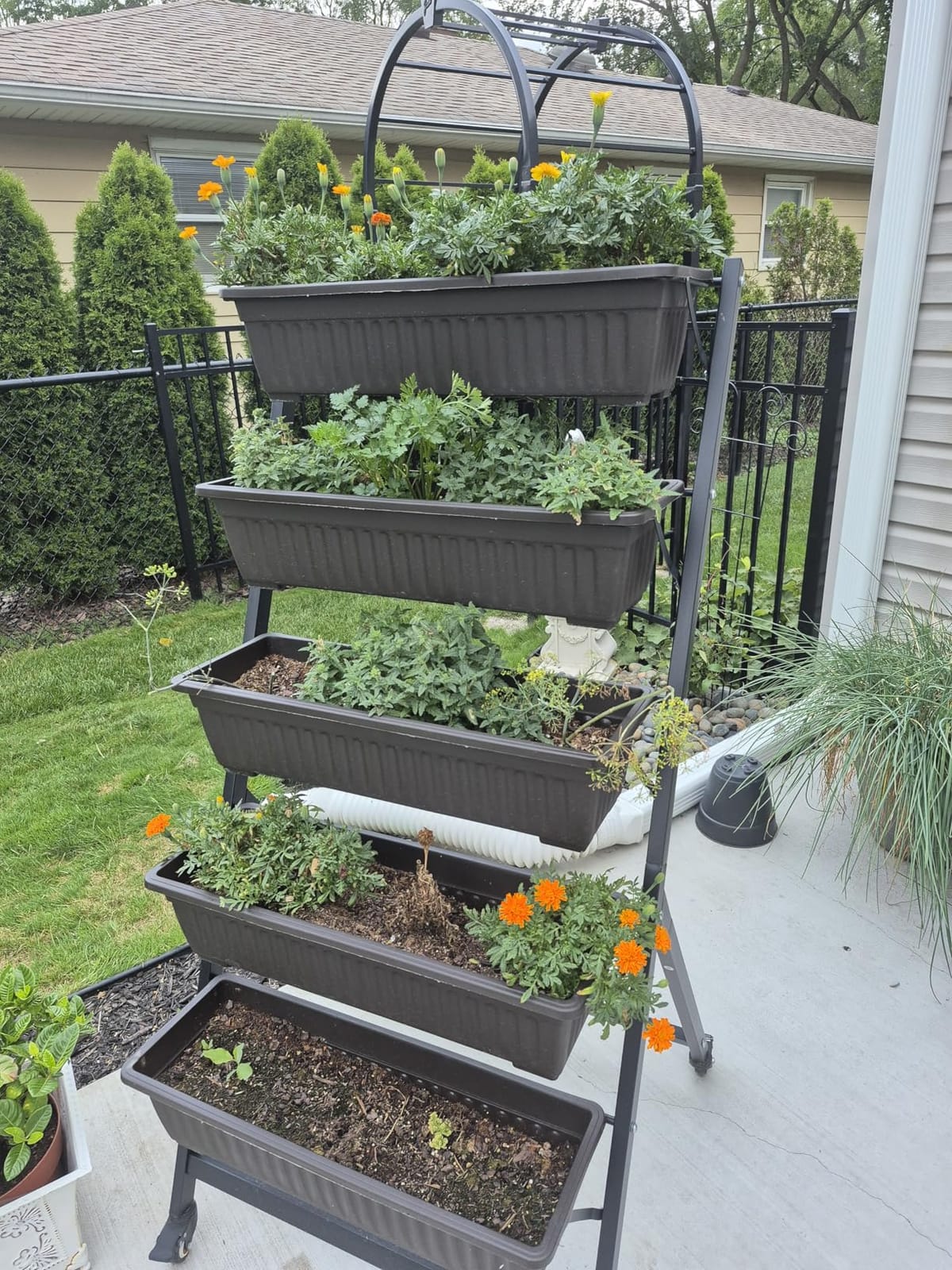 5-Tier Vertical Garden Planter,4.4Ft Planter Box with 5 Container Boxes customer photo 1