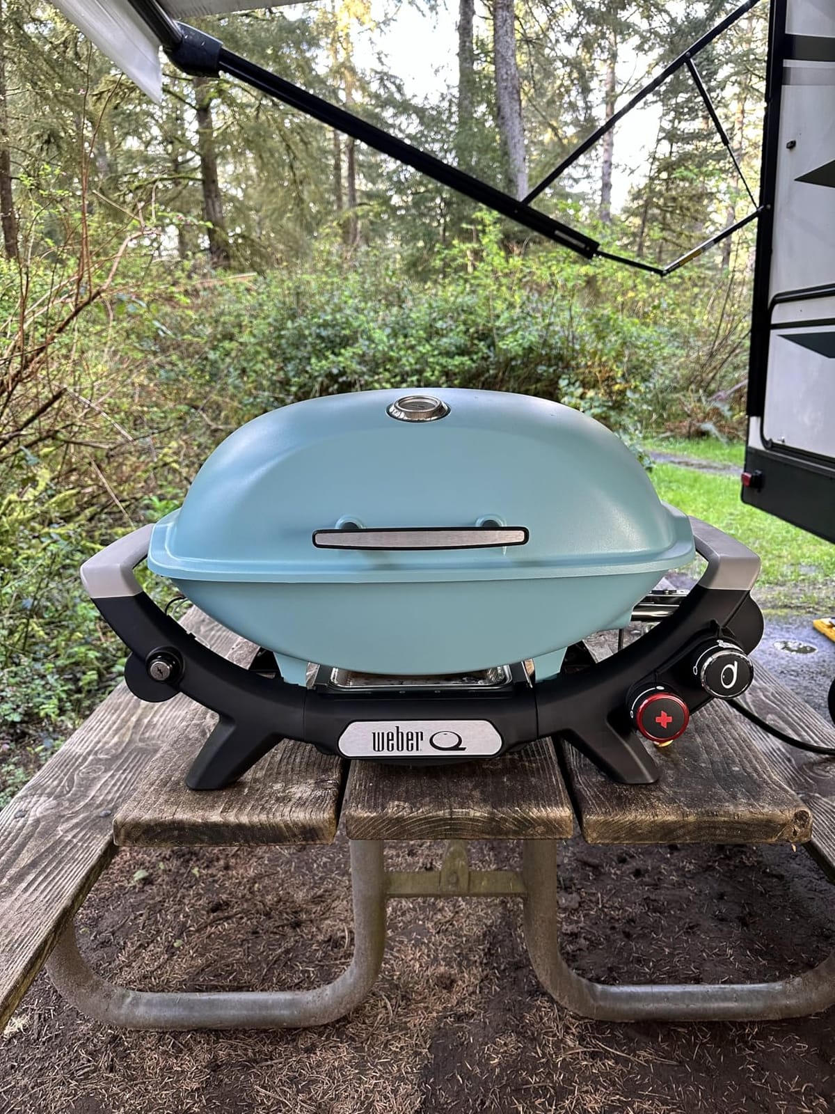 Weber® Q 2800N+ Portable Grill, Propane Grill, Charcoal Grey customer photo 2