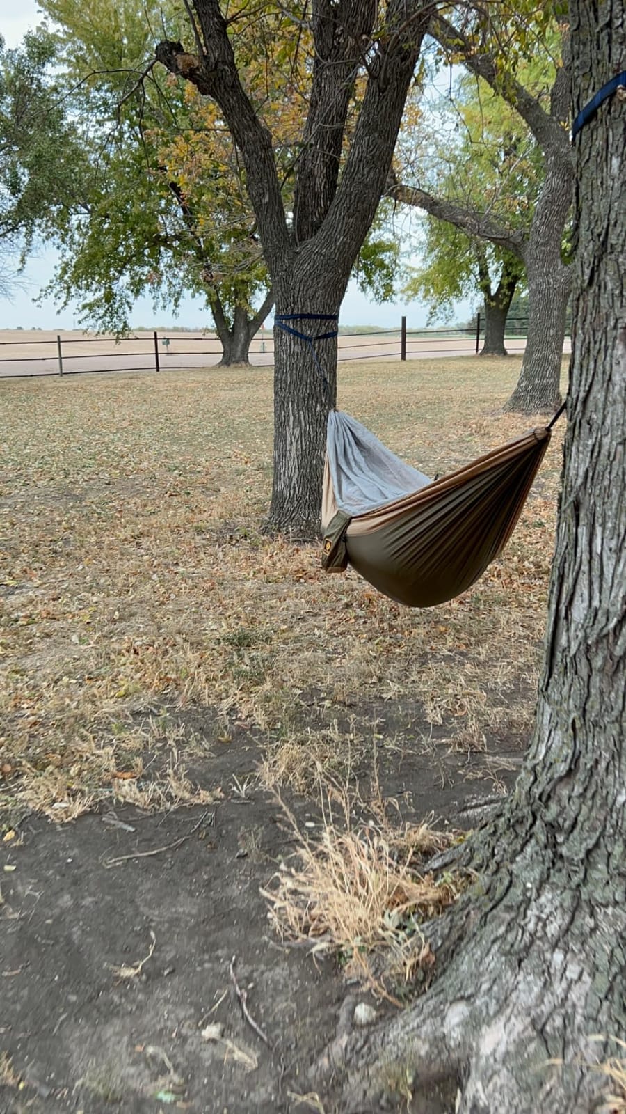 Camping Hammock, Portable Hammocks with Mosquito Net,Lightweight Nylon Parachute Hammock with 10ft Tree Straps,Camping Gear Must Haves for Travel Hiking Backpacking Beach Patio-Green&Khaki customer photo 1