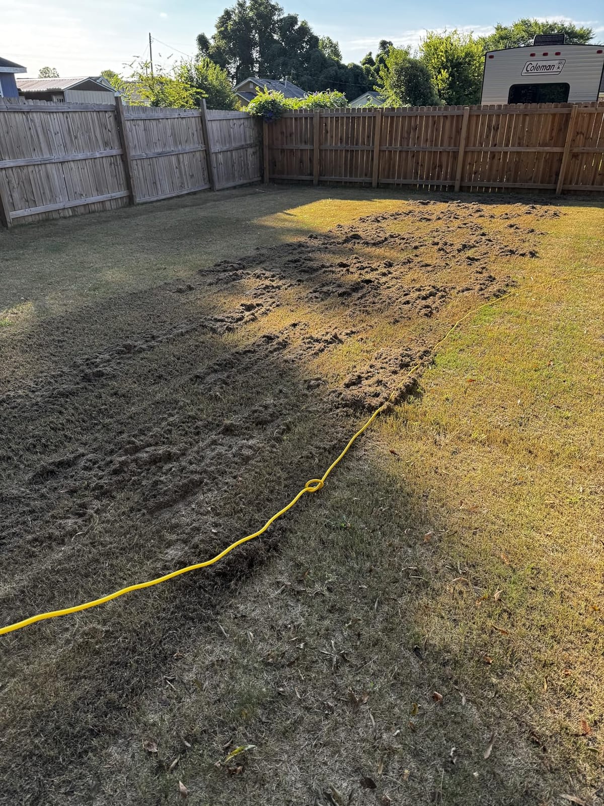 BILT HARD 16 Inch Dethatcher Scarifier Electric Powered, 15 Amp Copper Motor, 5-Position Depth Adjustment, 14.5 gal Thatch Bag, 2 in 1 Walk Behind Thatch Removing Machine for Lawn customer photo 1