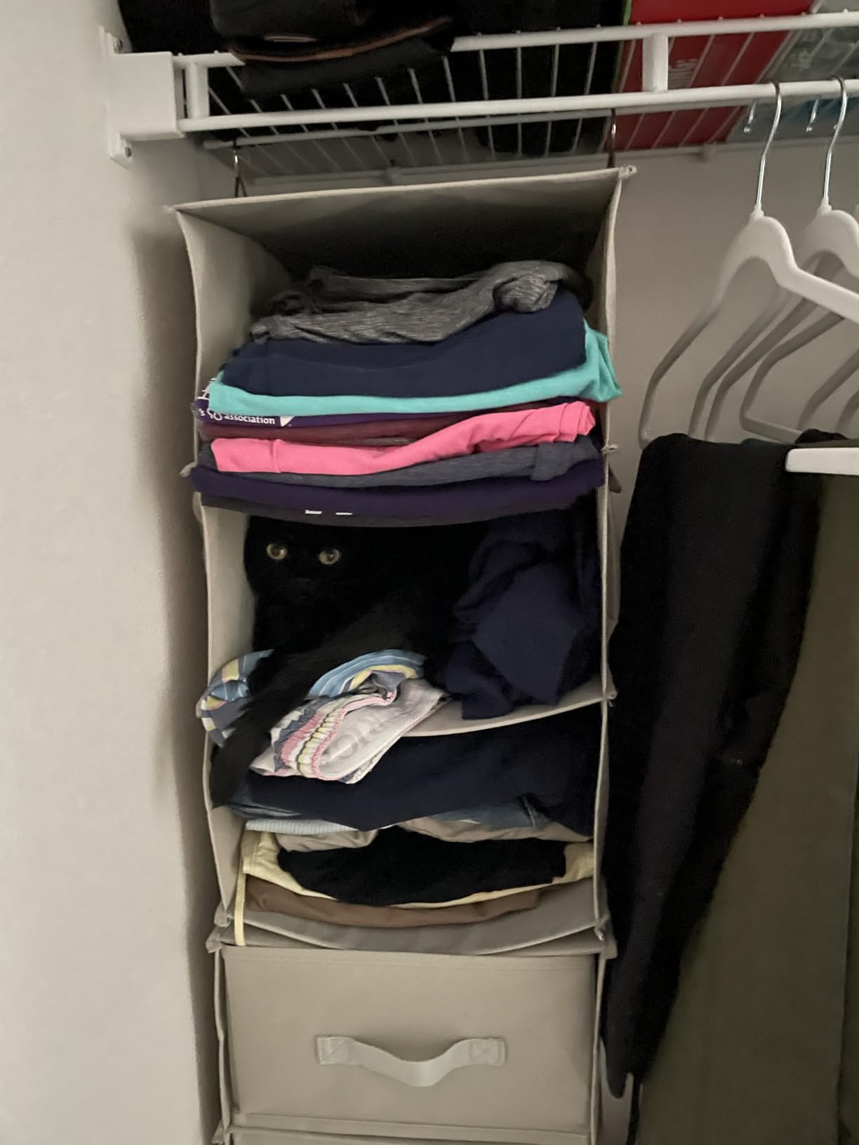 6-Shelf Hanging Closet Organizer with 3 Drawers, 2-in-1 Design, Beige customer photo 2