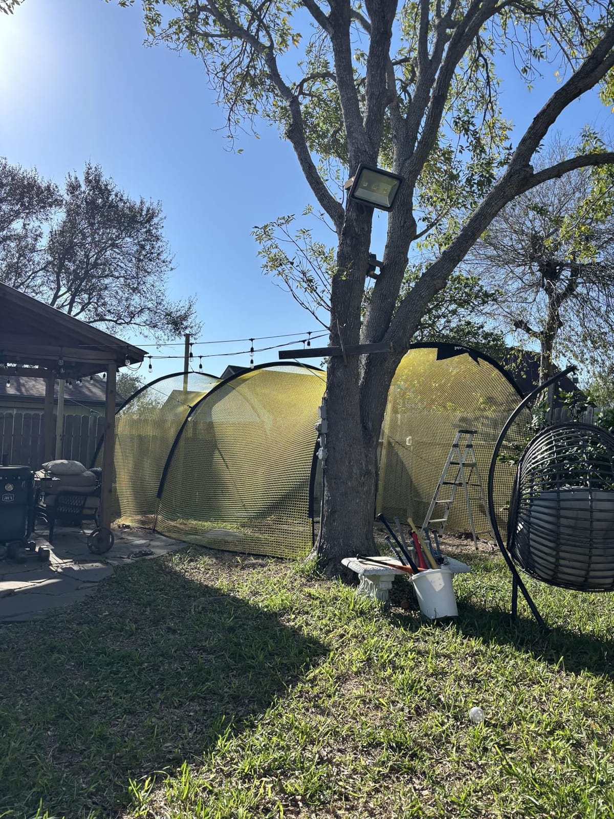 Apex Sports Portable Batting Cage 22x12x8 Ft, Baseball & Softball Net Cage customer photo 2