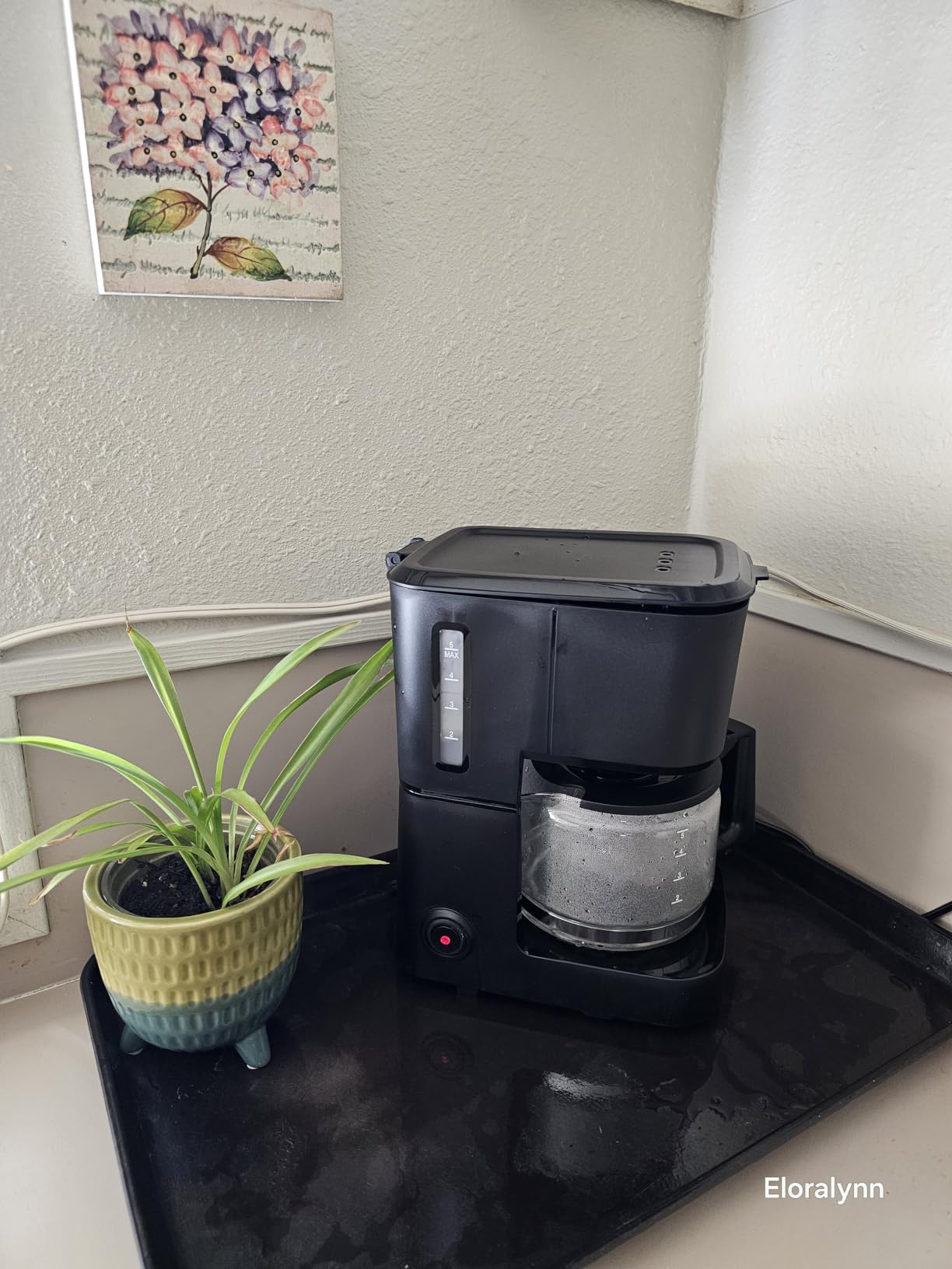 Amazon Basics 5 Cup Drip Coffee Maker with Glass Coffee Pot (0.8 Qt), Auto Shut-off, Auto Pause, Removable Filter Basket, Matte Black customer photo 2