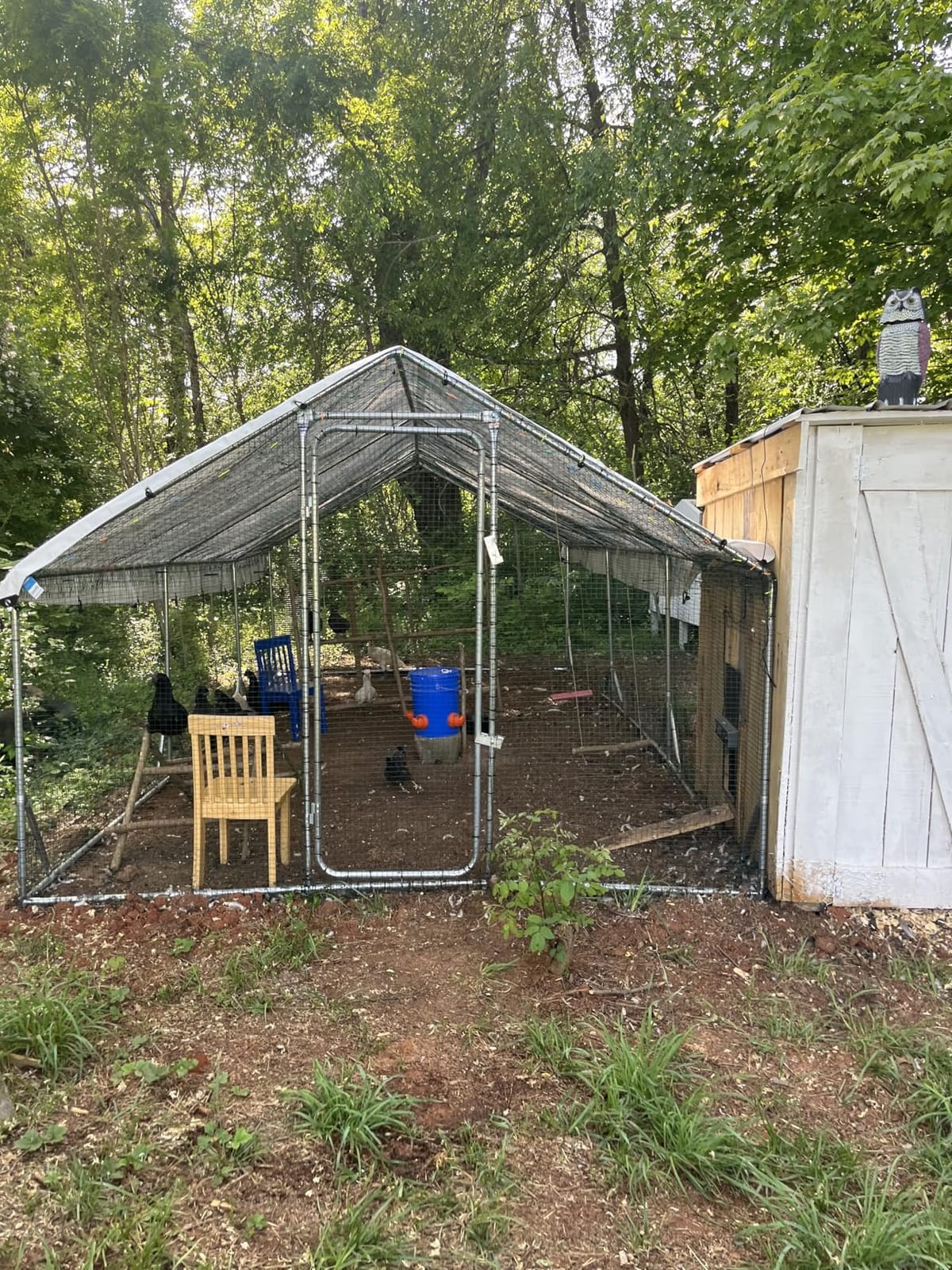 Chicken Coop Door, Solar Powered Automatic with LCD Display, Light Sensor customer photo 1