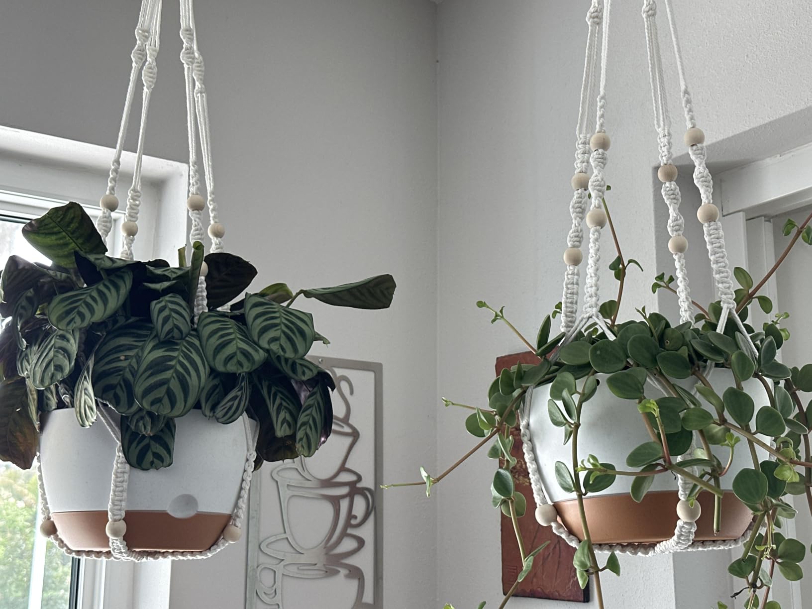 Set of 2-10 Inch Hanging Planters for Indoor Plants with Self-Watering Includes Hanging Pots for Plants, Outdoor Hanging Plant Pot with Drainage, and 2 Types of Hanging Baskets Hangers (White, 10inch) customer photo 2